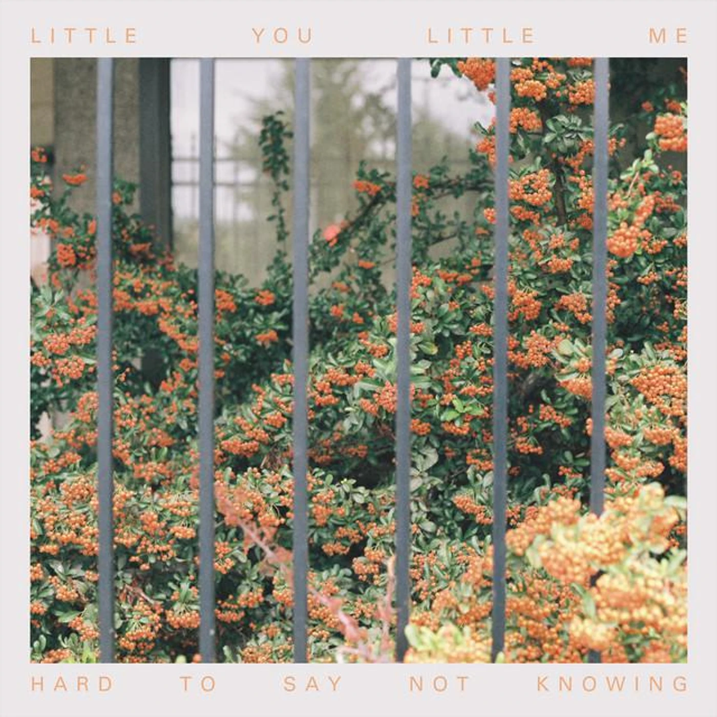 Little You, Little Me Brand Page