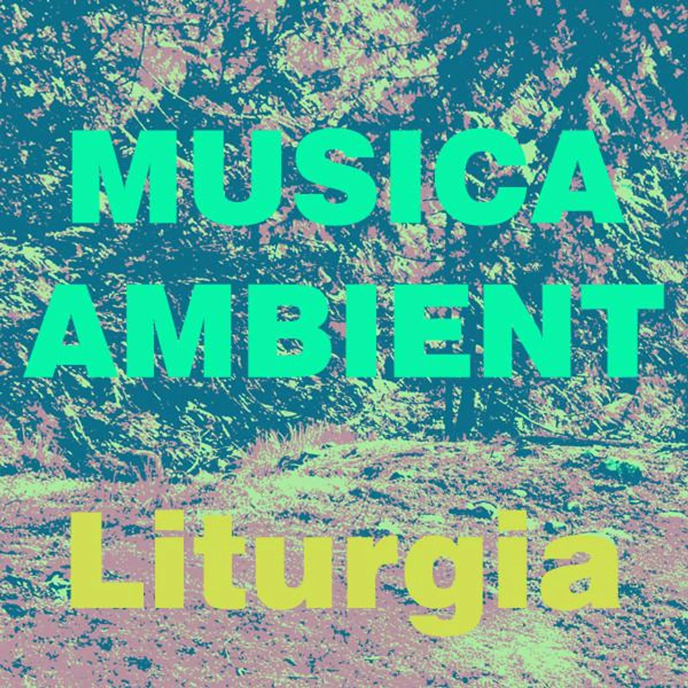 Liturgia Brand Page
