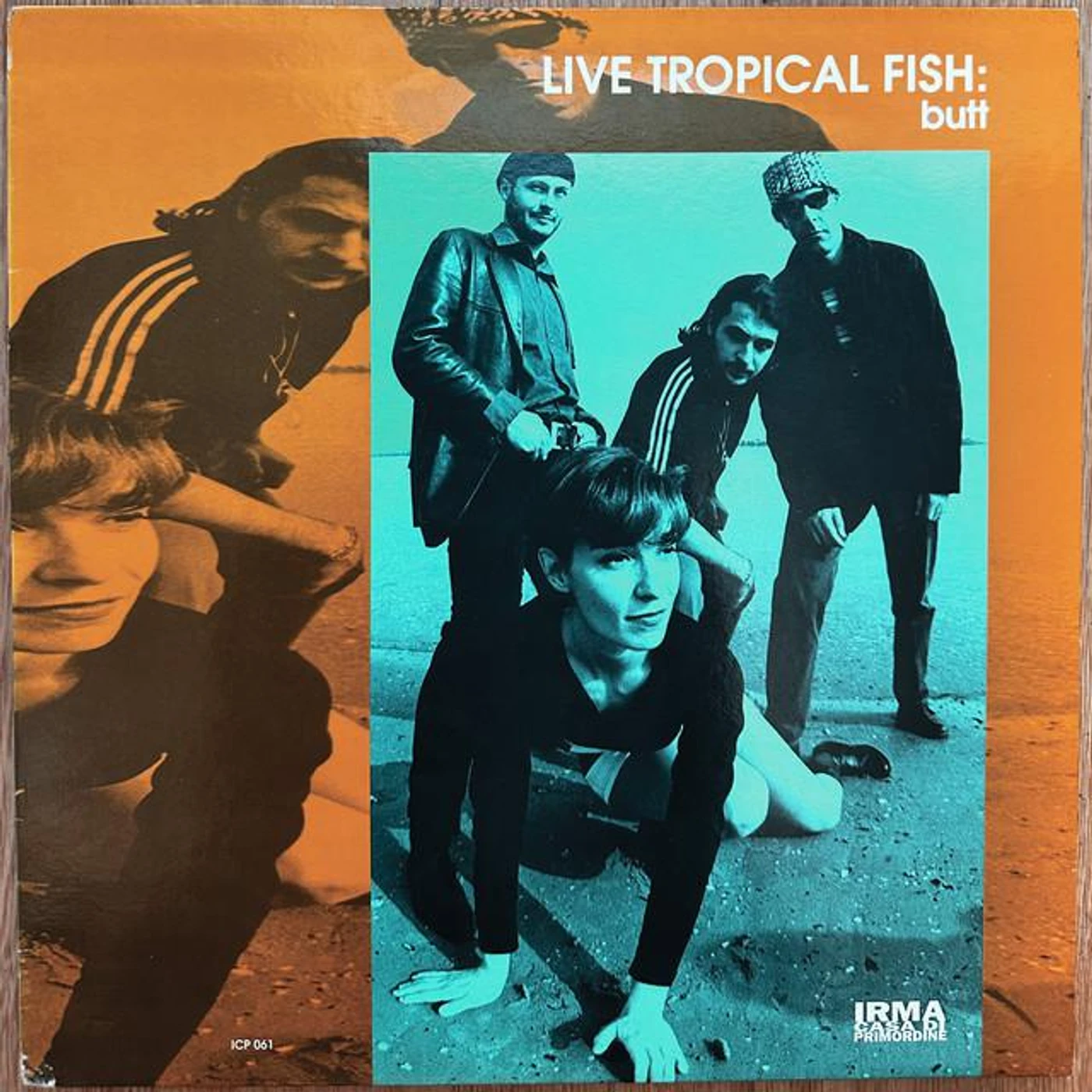 Live Tropical Fish Brand Page