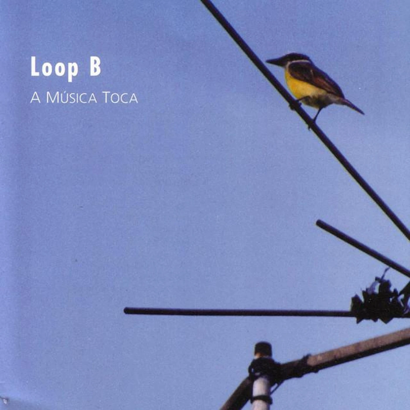 Loop B Brand Page