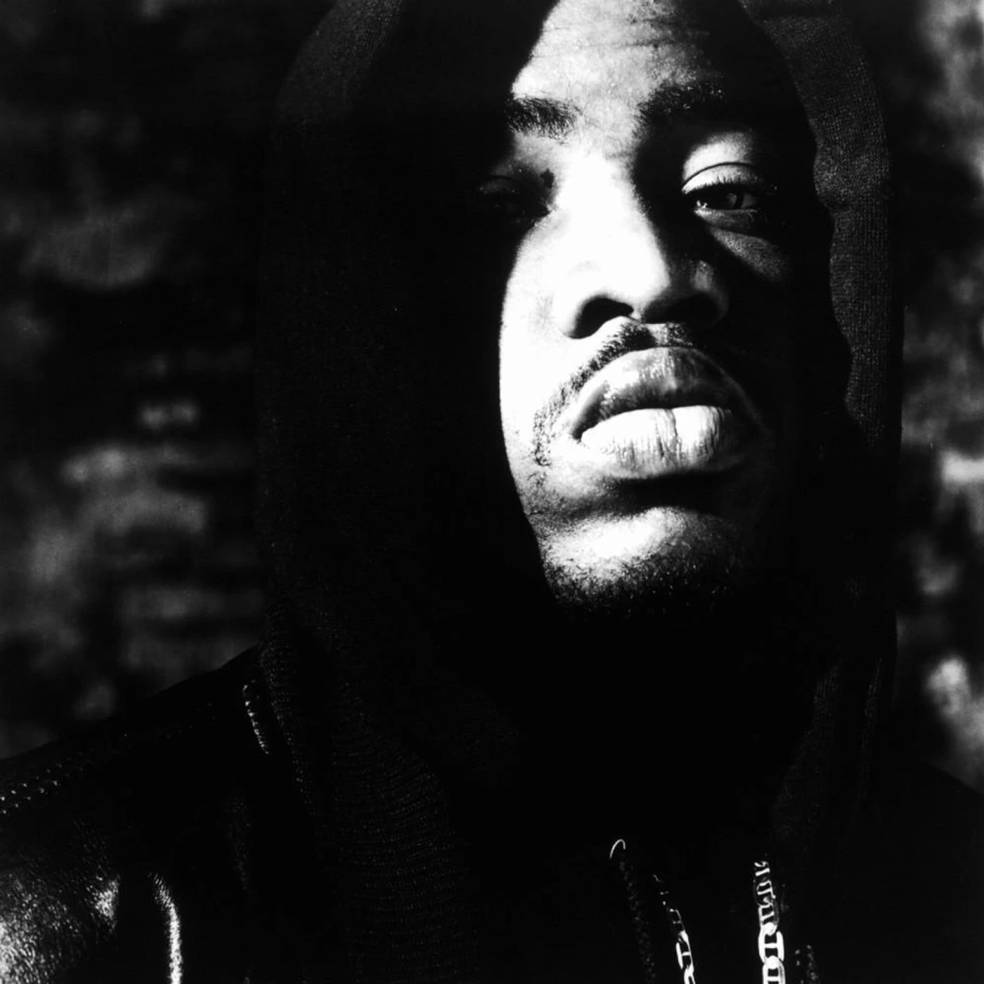 Lord Finesse Brand Page