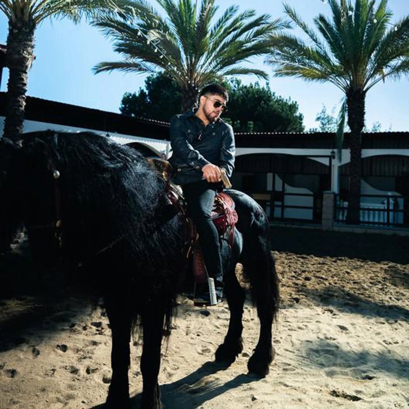 Los Gemelos De Sinaloa