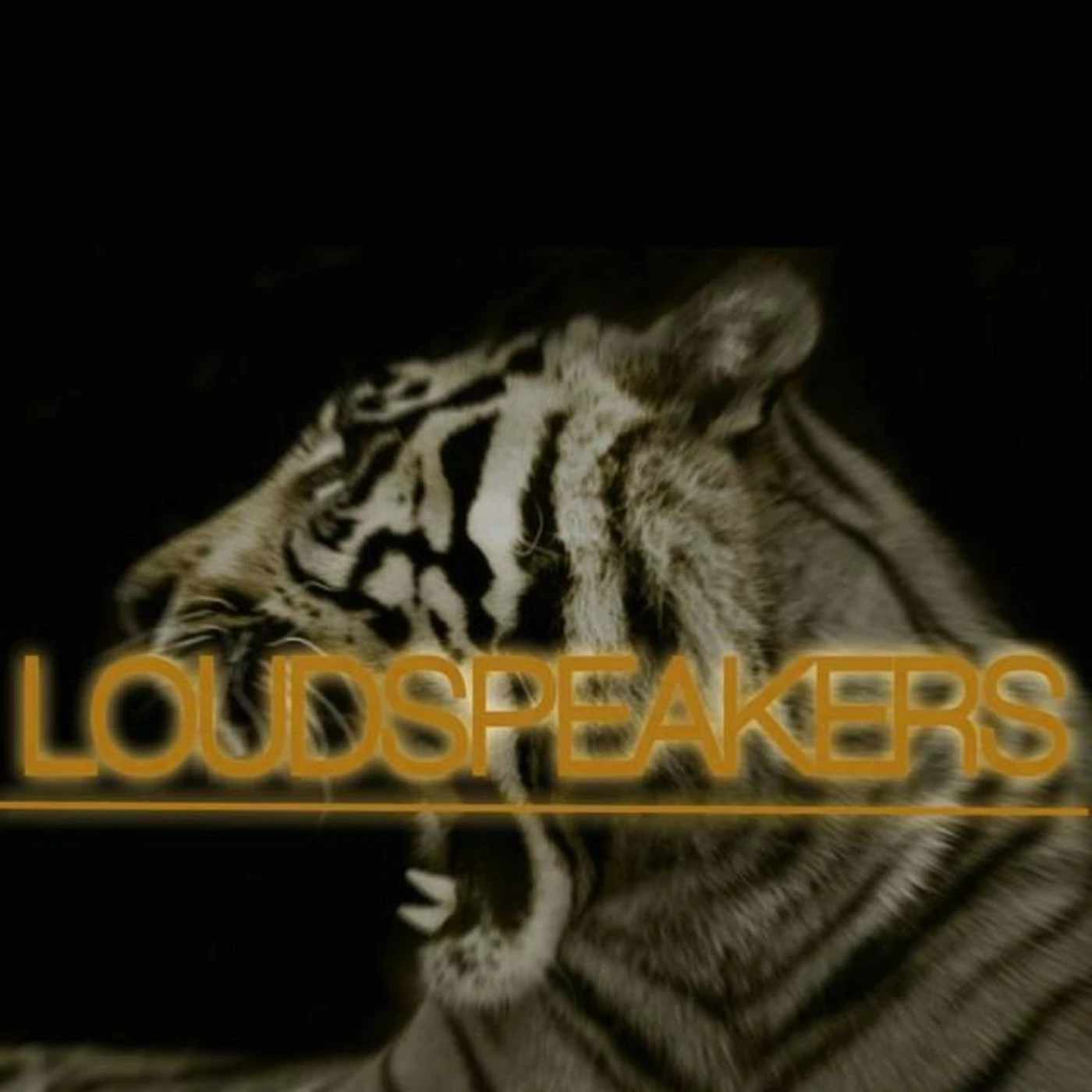 Loudspeakers Brand Page