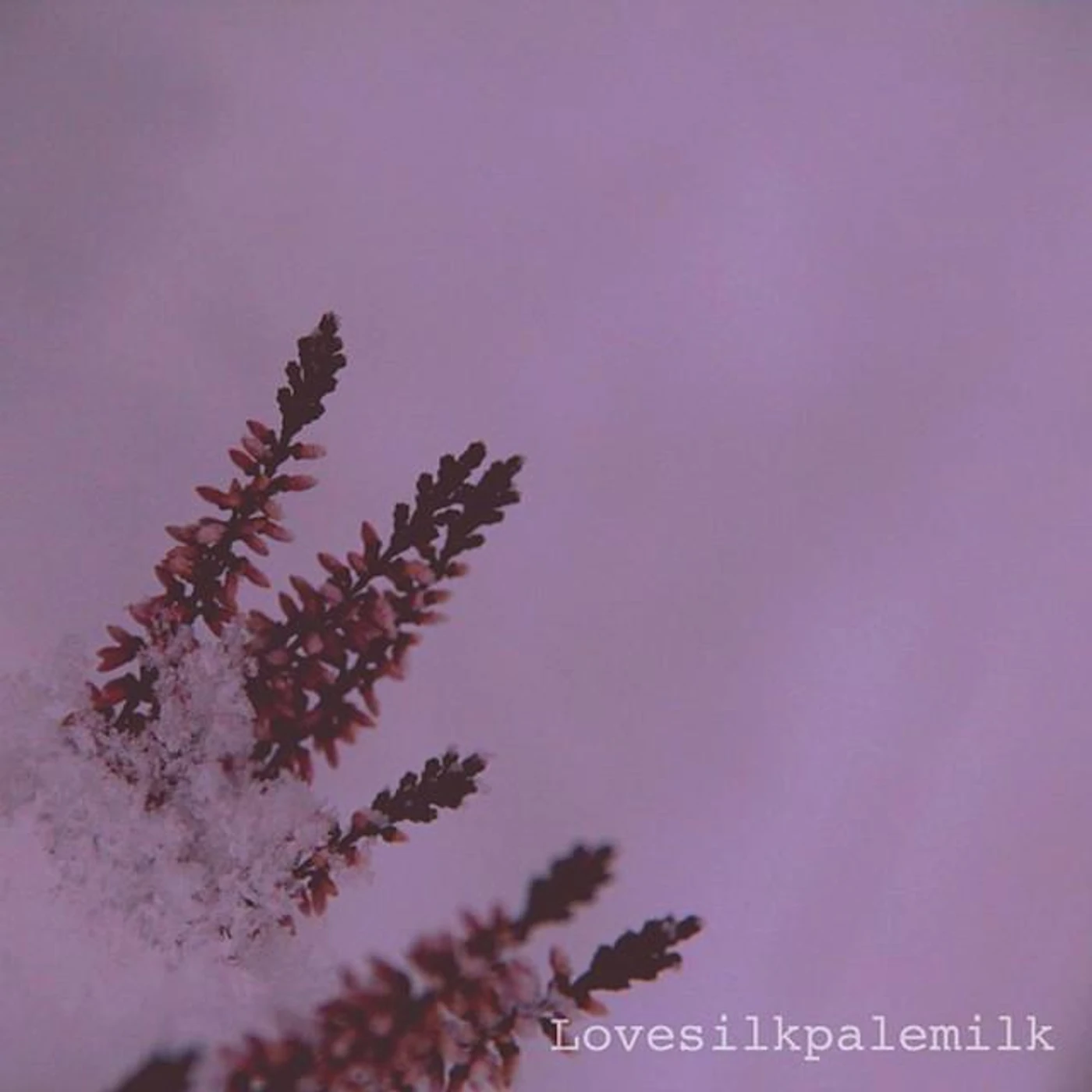 Lovesilkpalemilk Brand Page