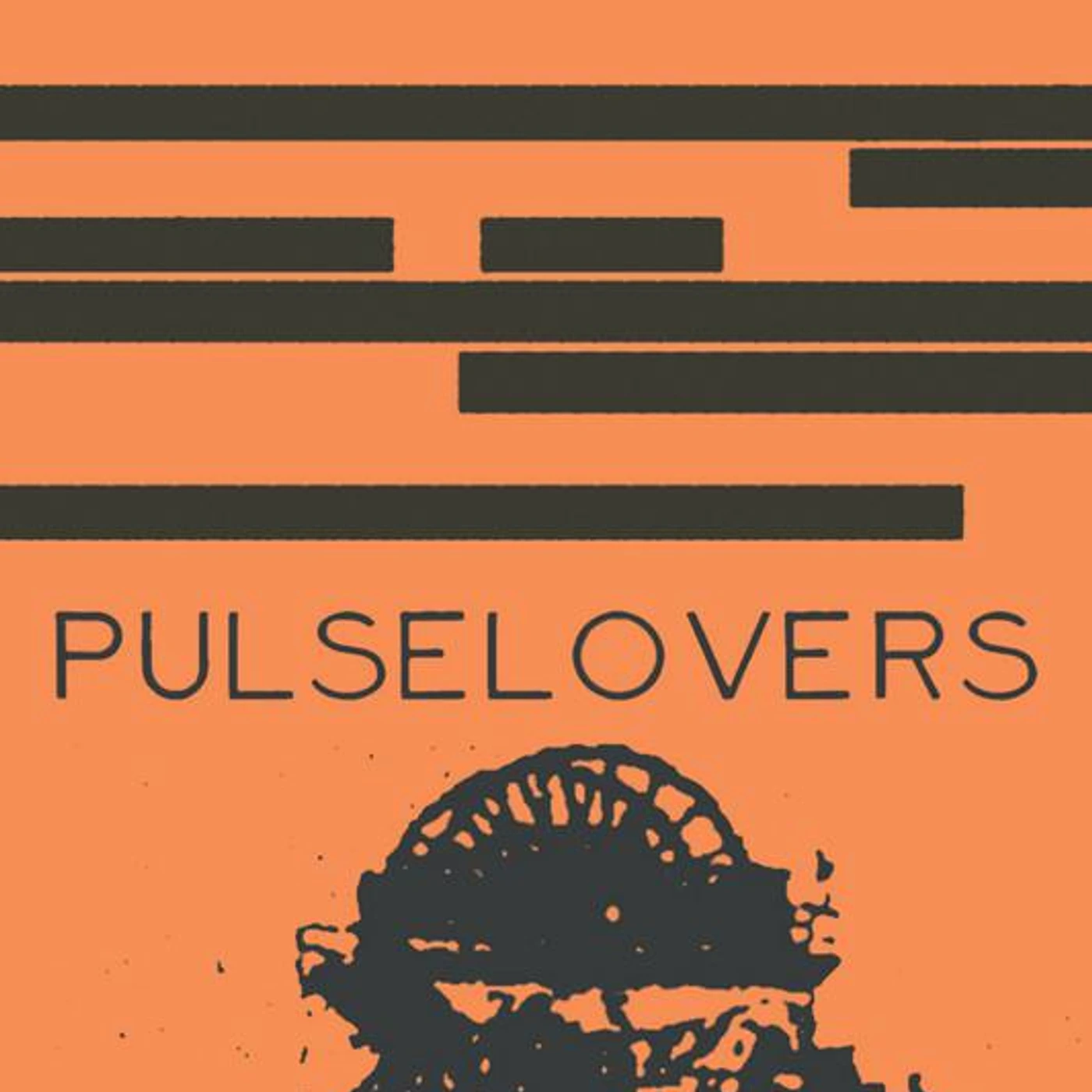 Pulselovers Brand Page