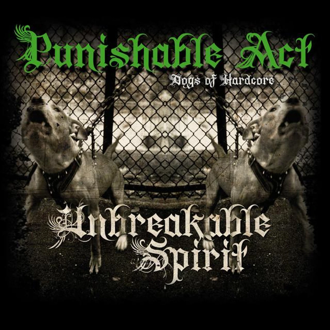 Punishable Act Brand Page