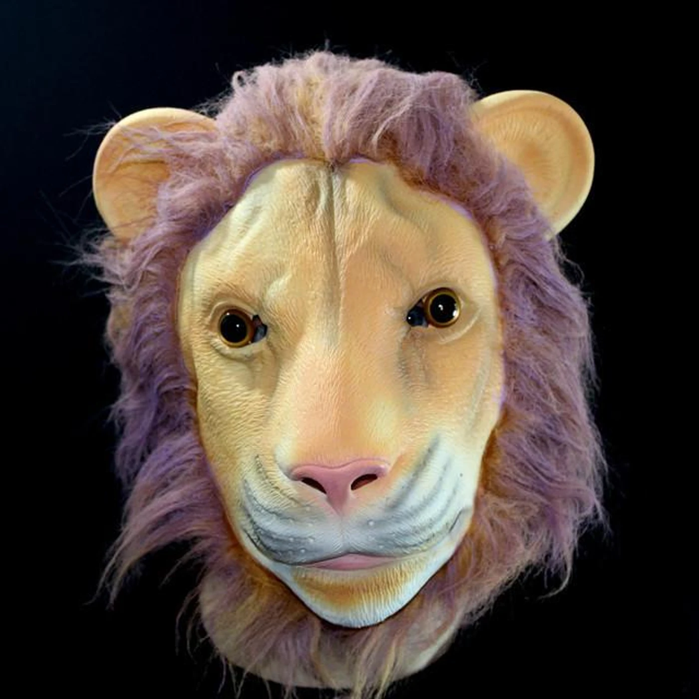 Purple Lions Brand Page