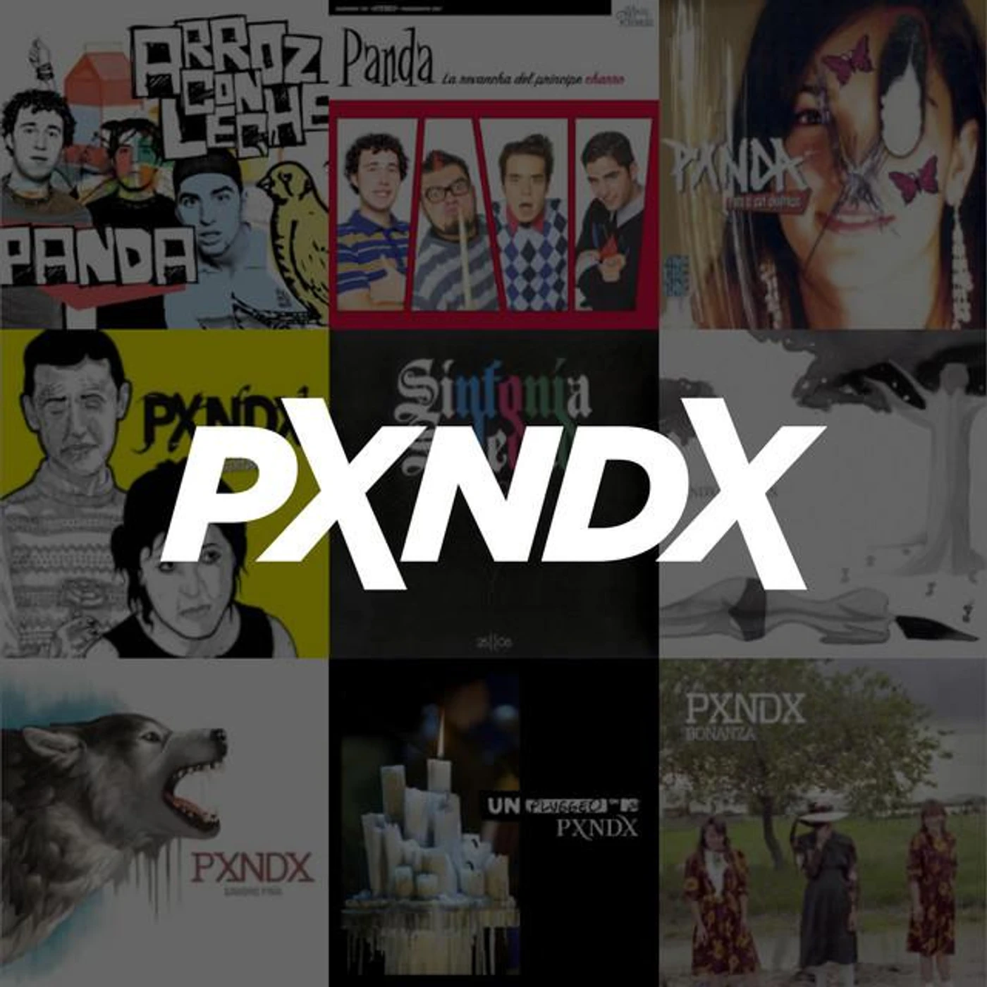 PXNDX Brand Page