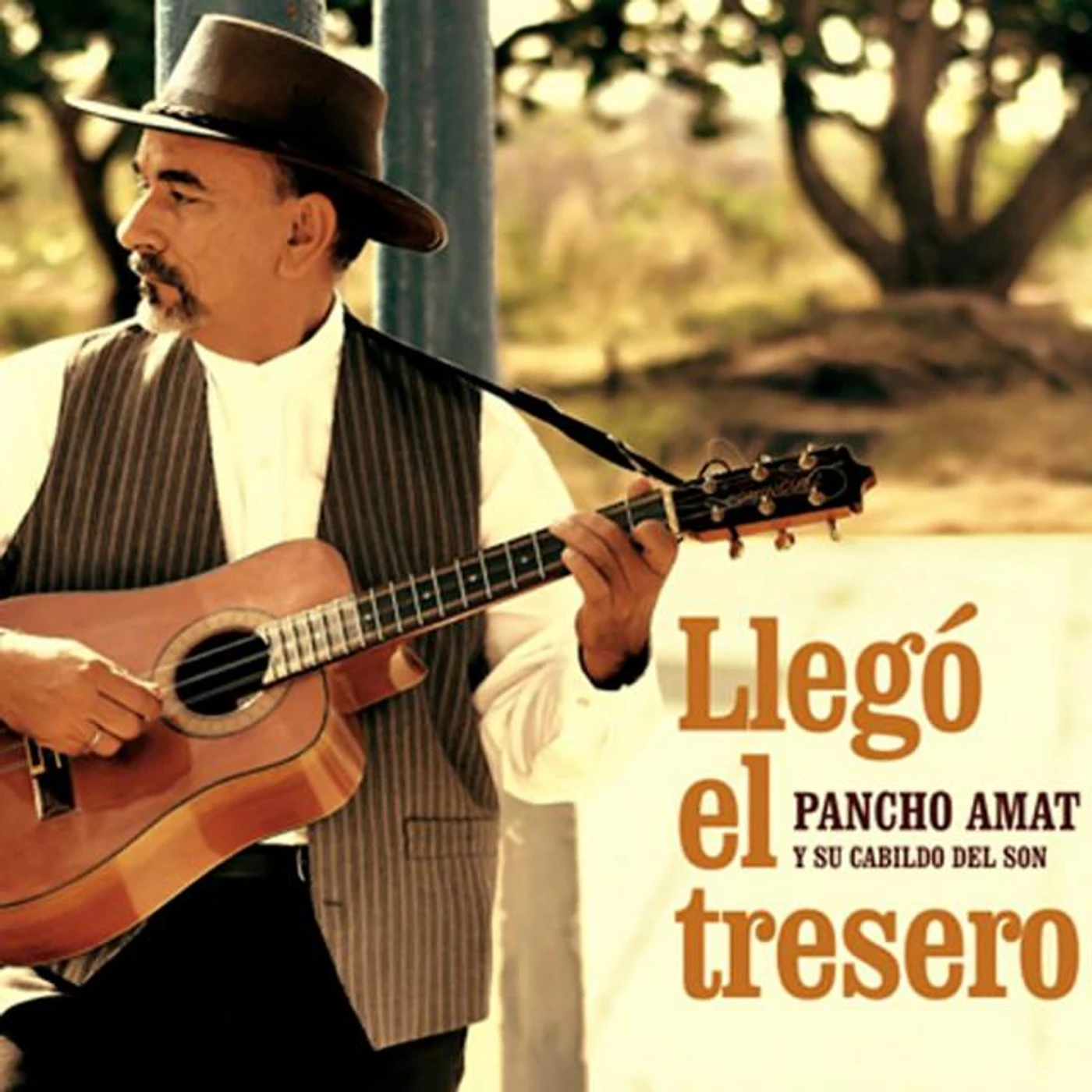 Pancho Amat Y Su Cabildo Del Son Brand Page