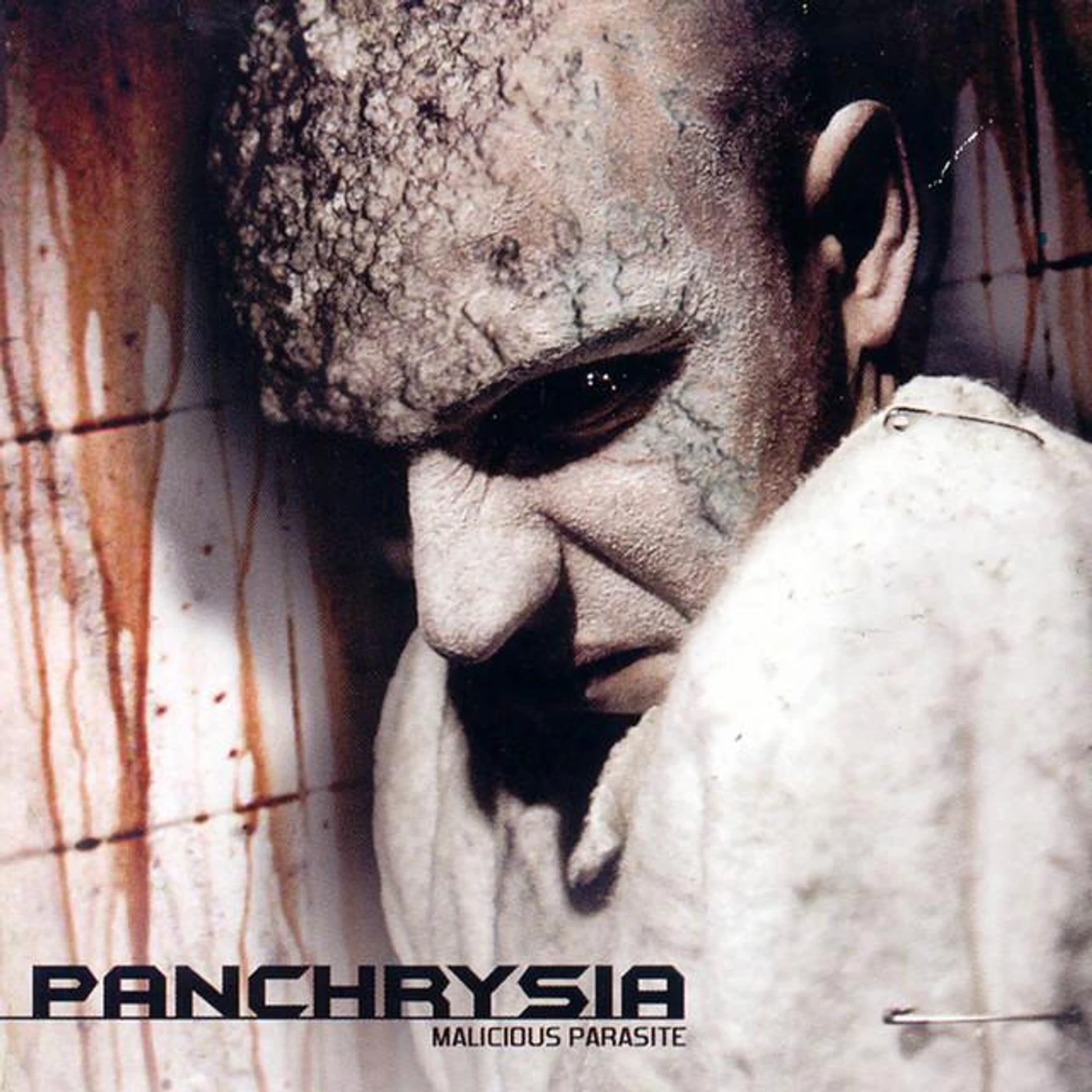 Panchrysia