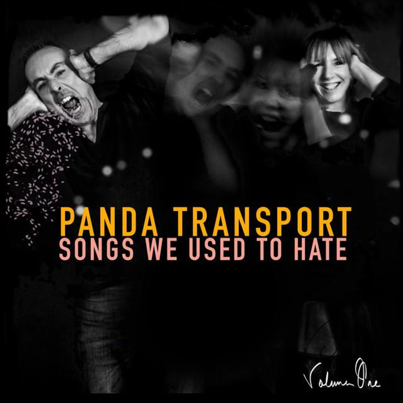 Panda Transport Brand Page