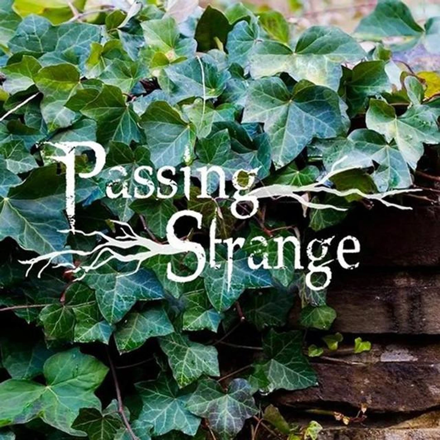 Passing Strange Brand Page