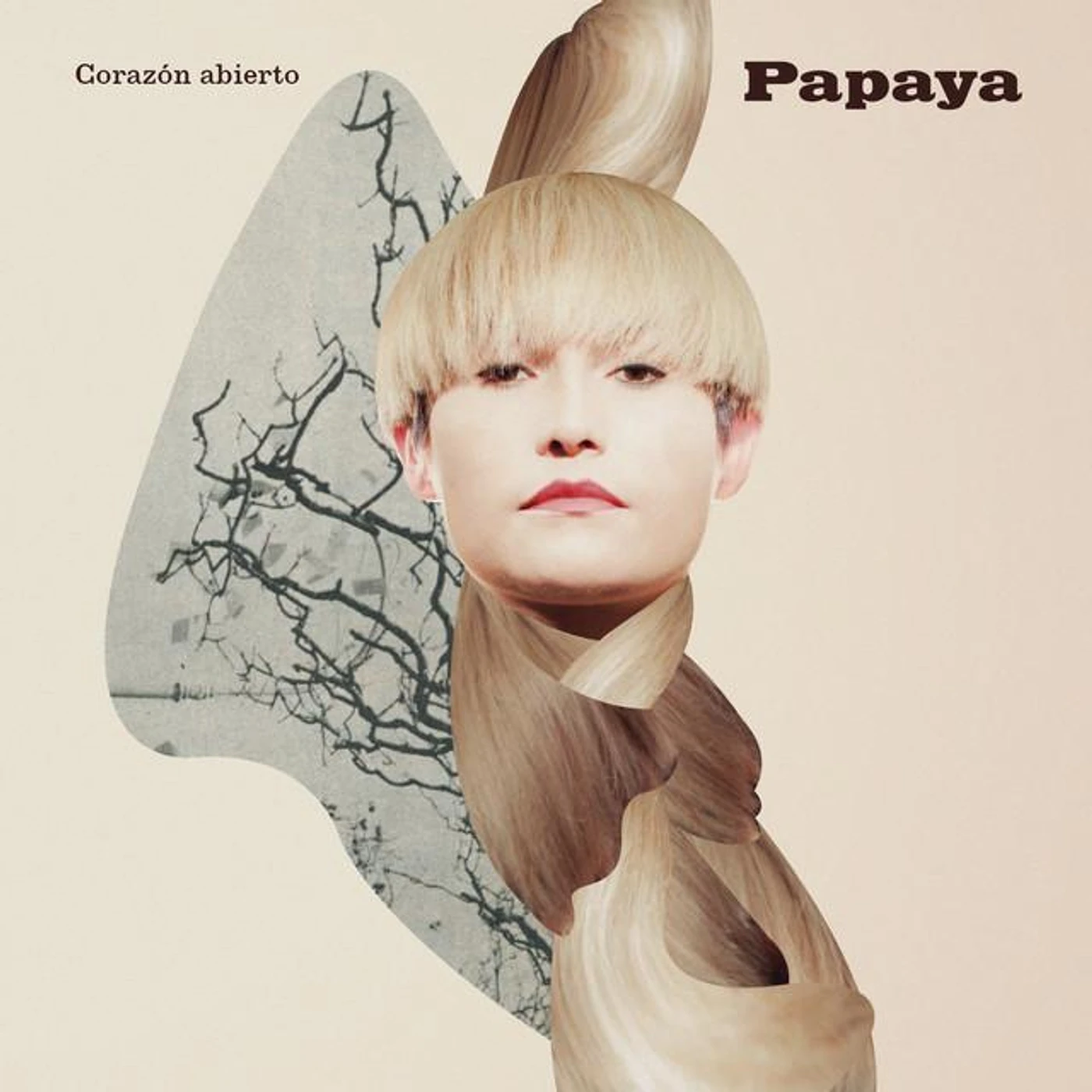 Papaya Brand Page