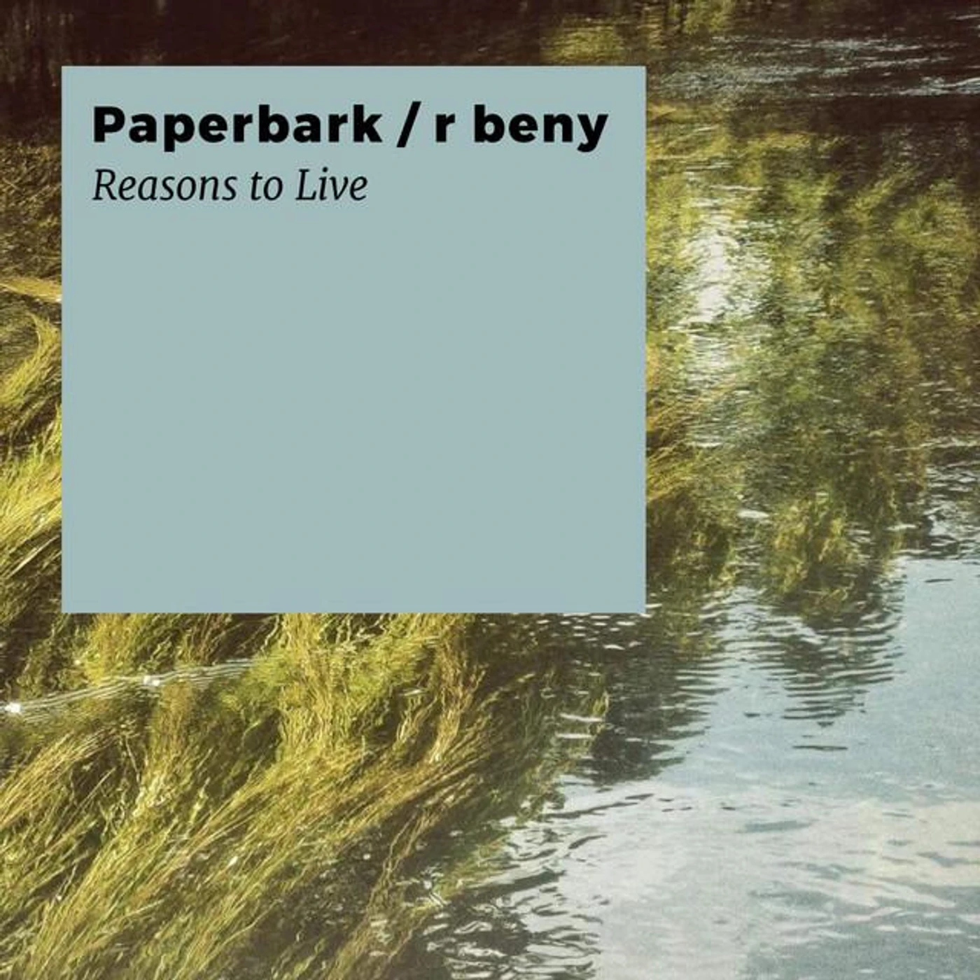 Paperbark Brand Page