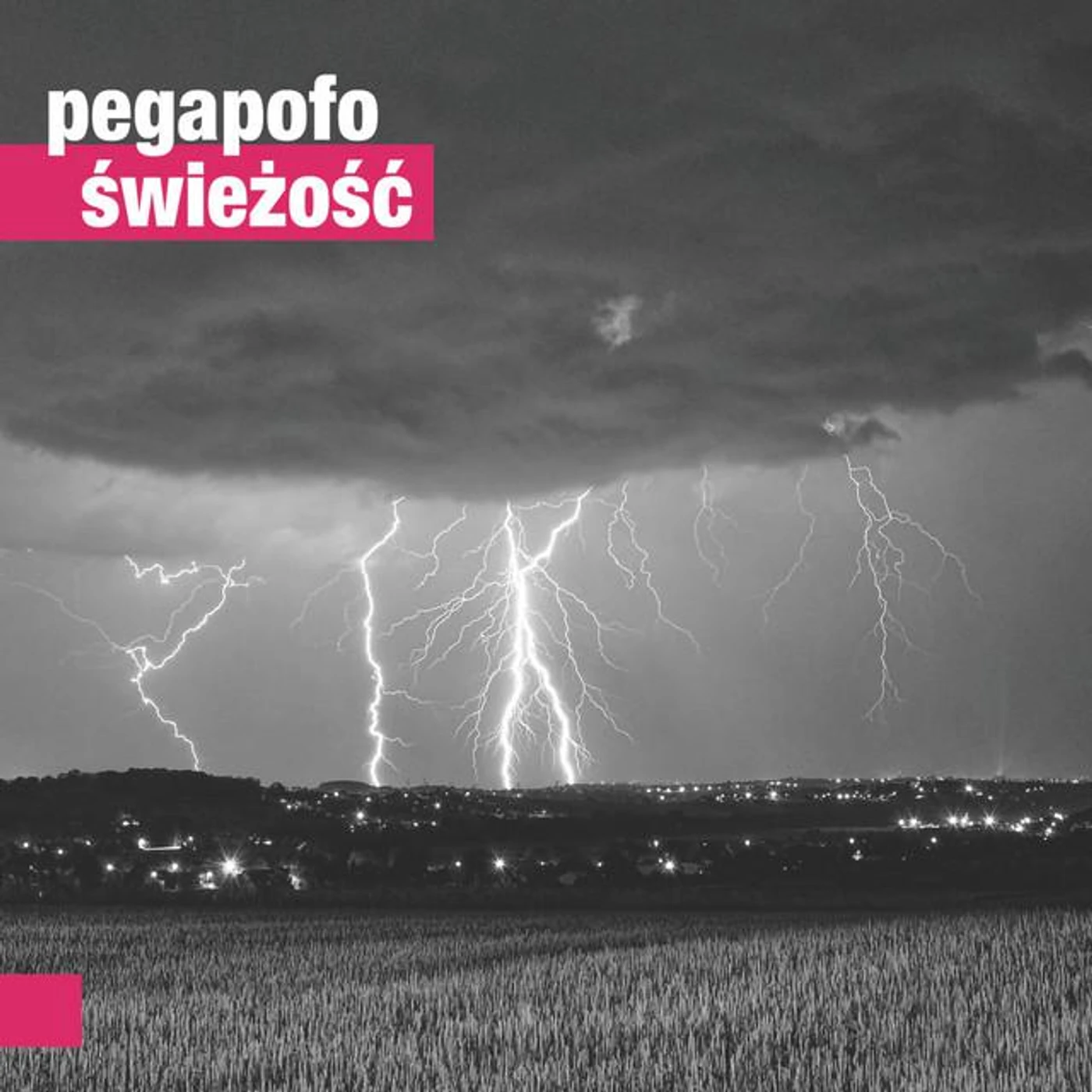 Pegapofo