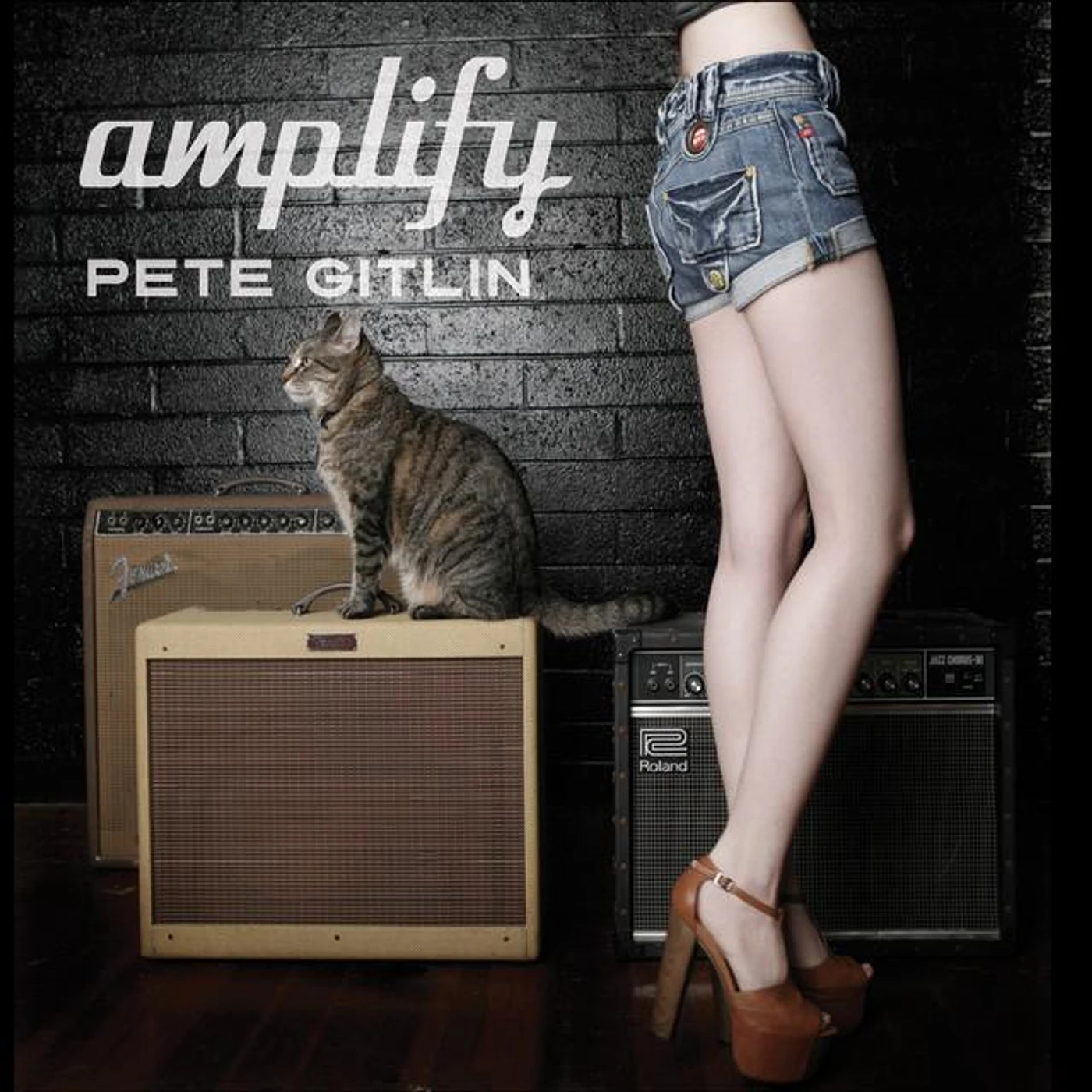 Pete Gitlin Brand Page