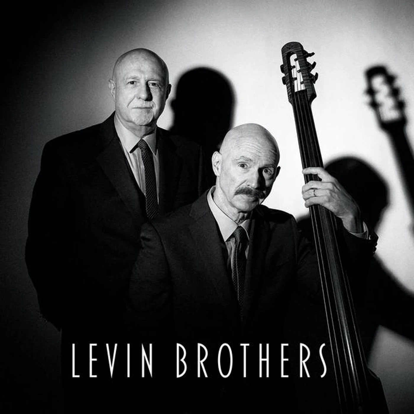 Pete Levin Brand Page