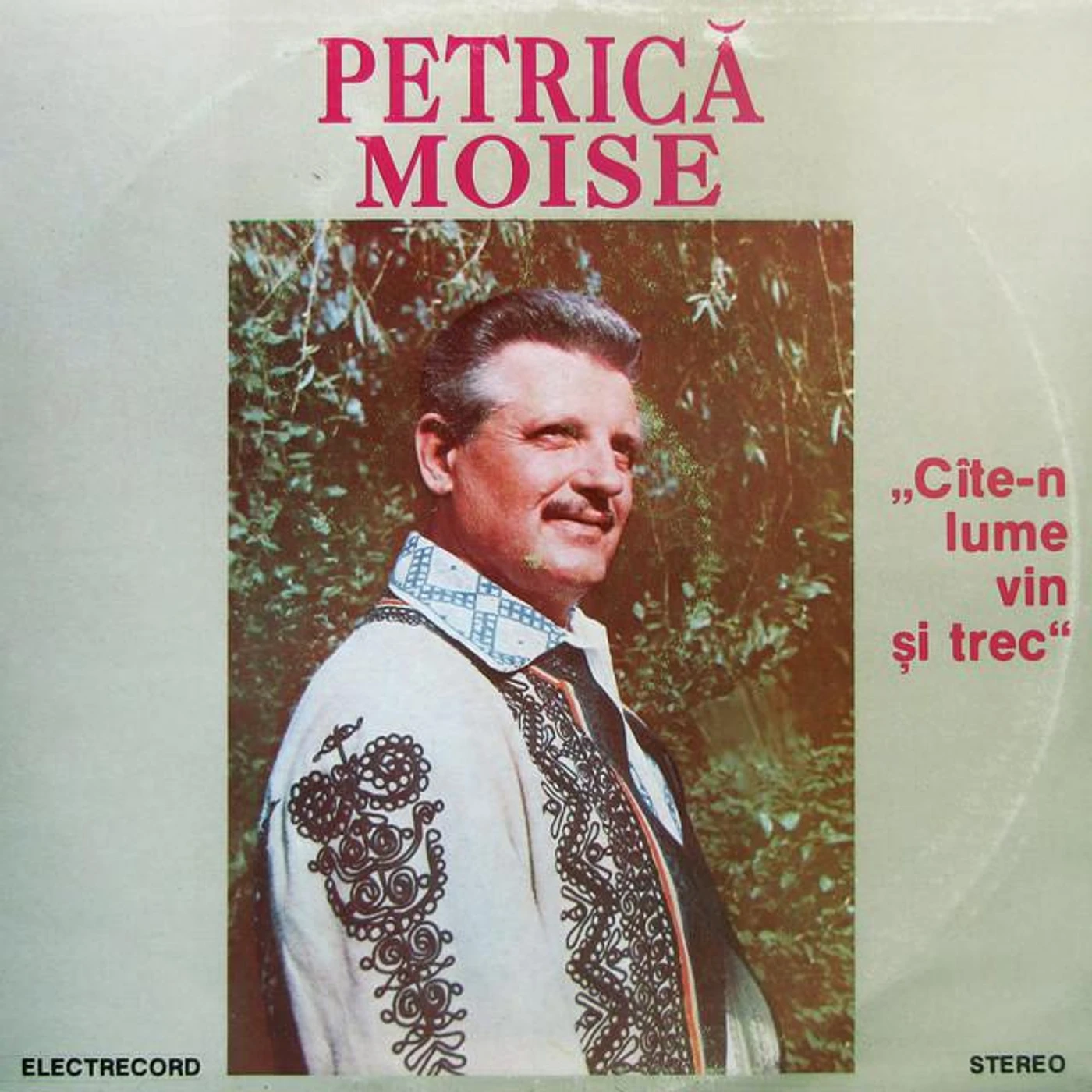 Petrica Moise Brand Page