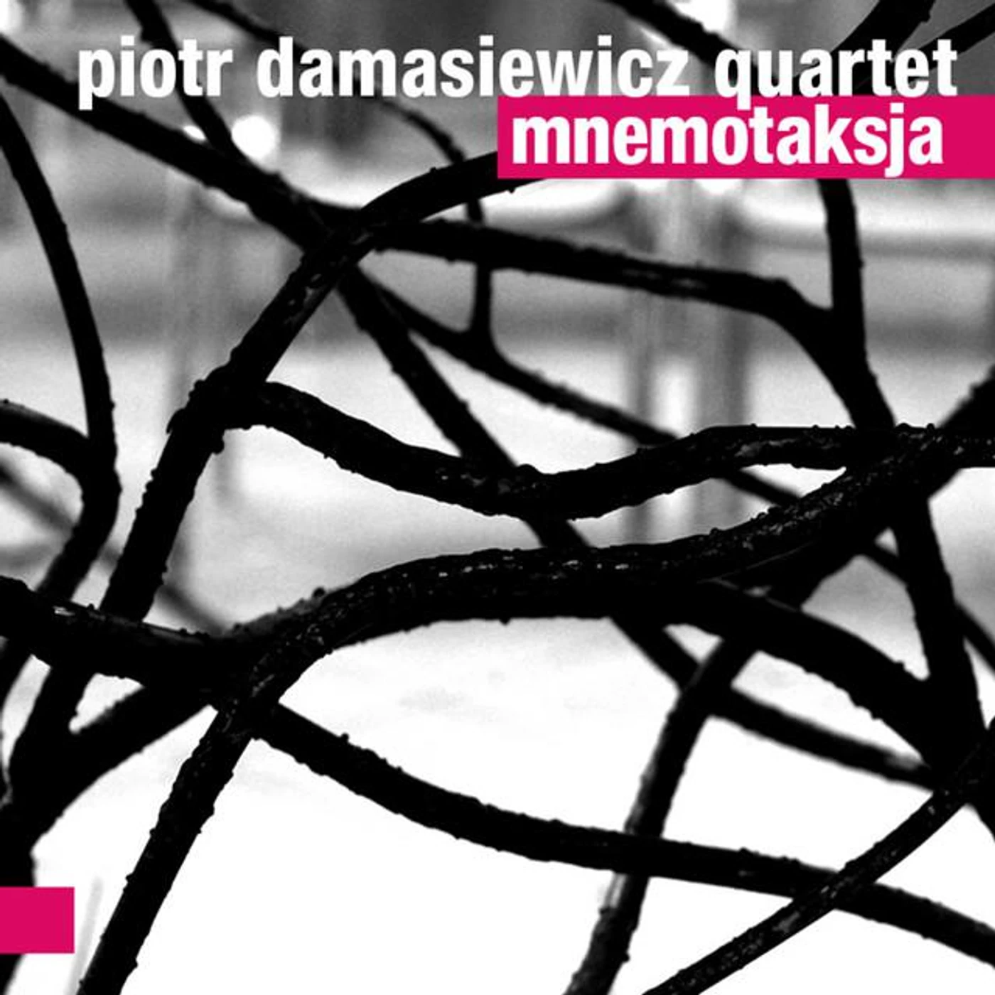 Piotr Damasiewicz Quartet Brand Page