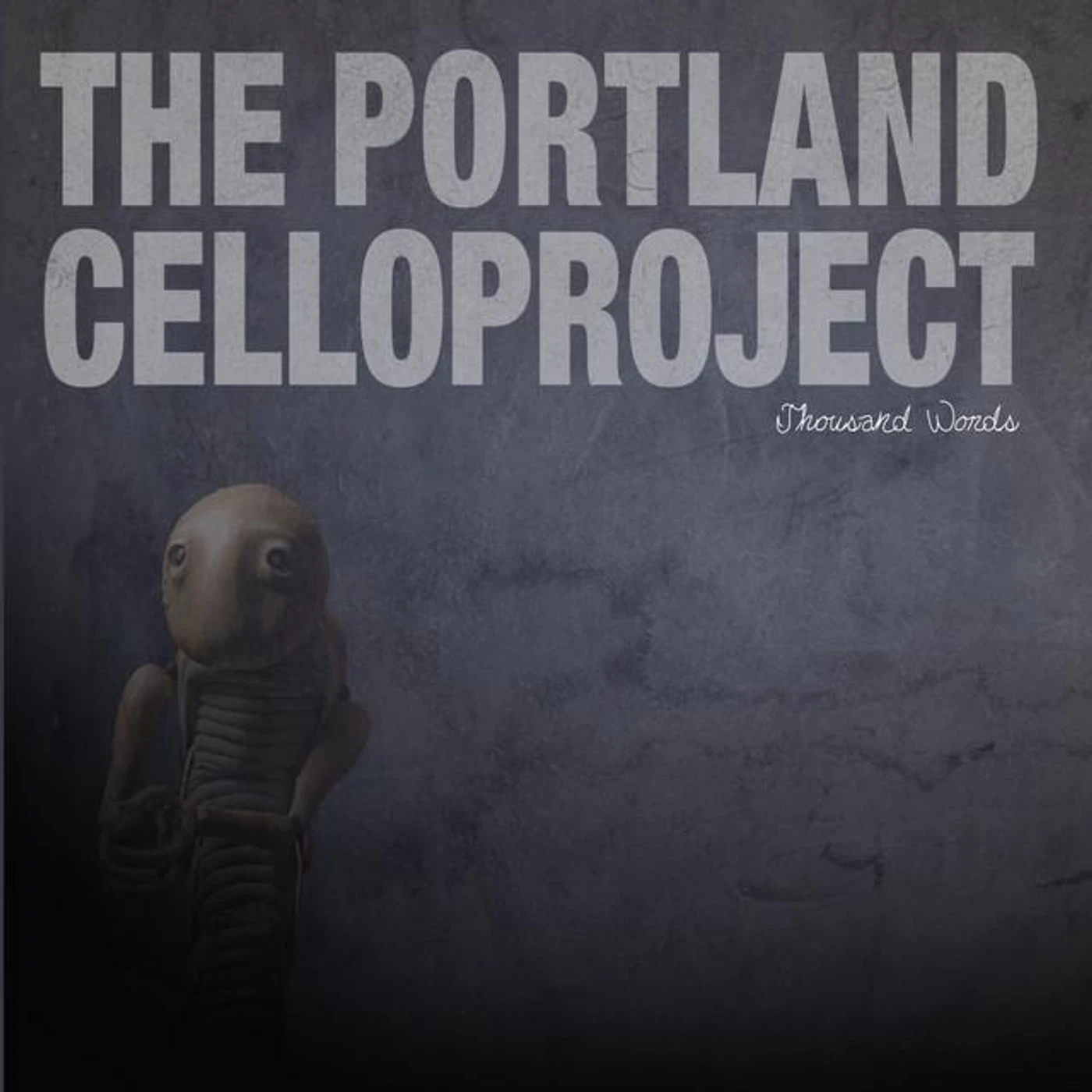 Portland Cello Project Brand Page