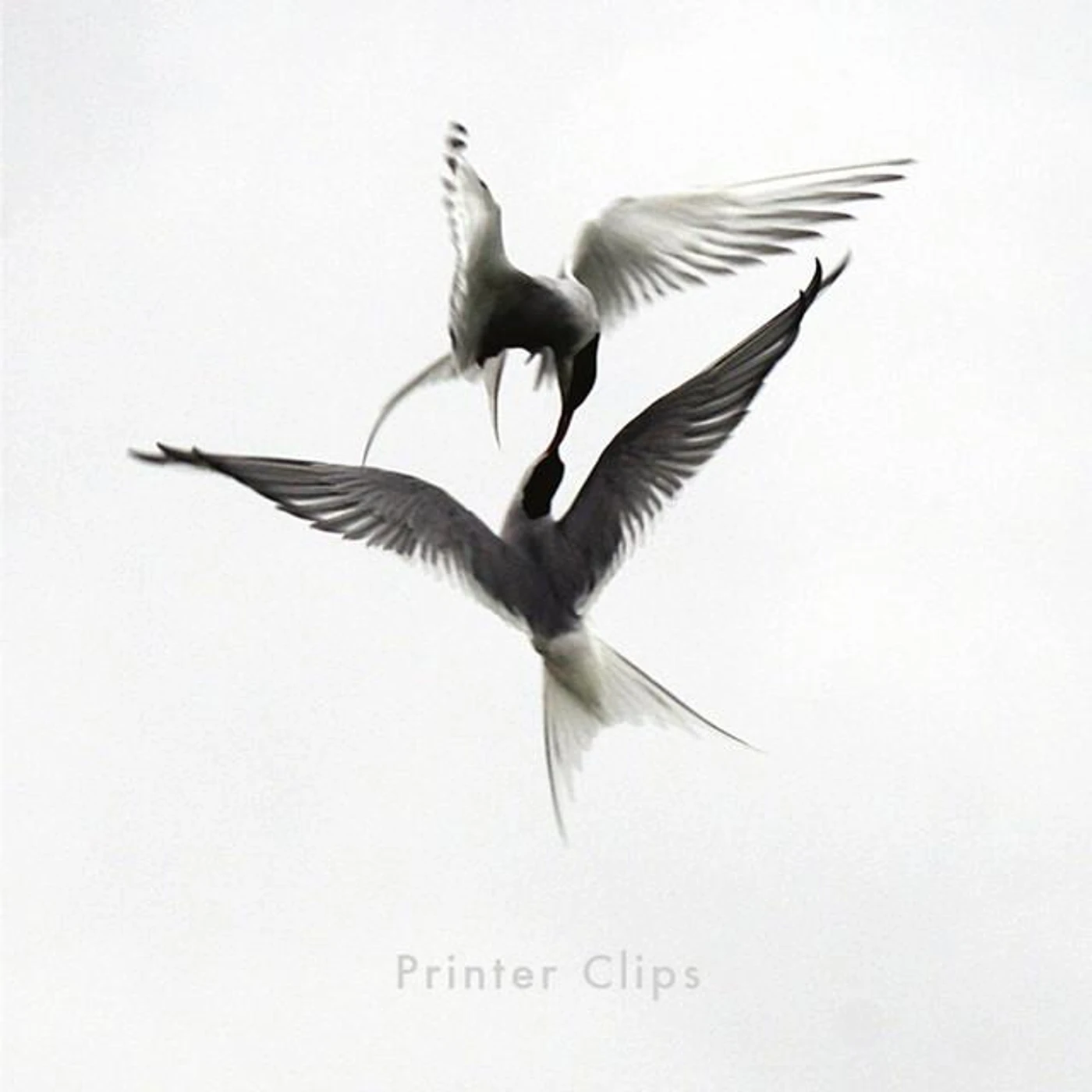 Printer Clips Brand Page