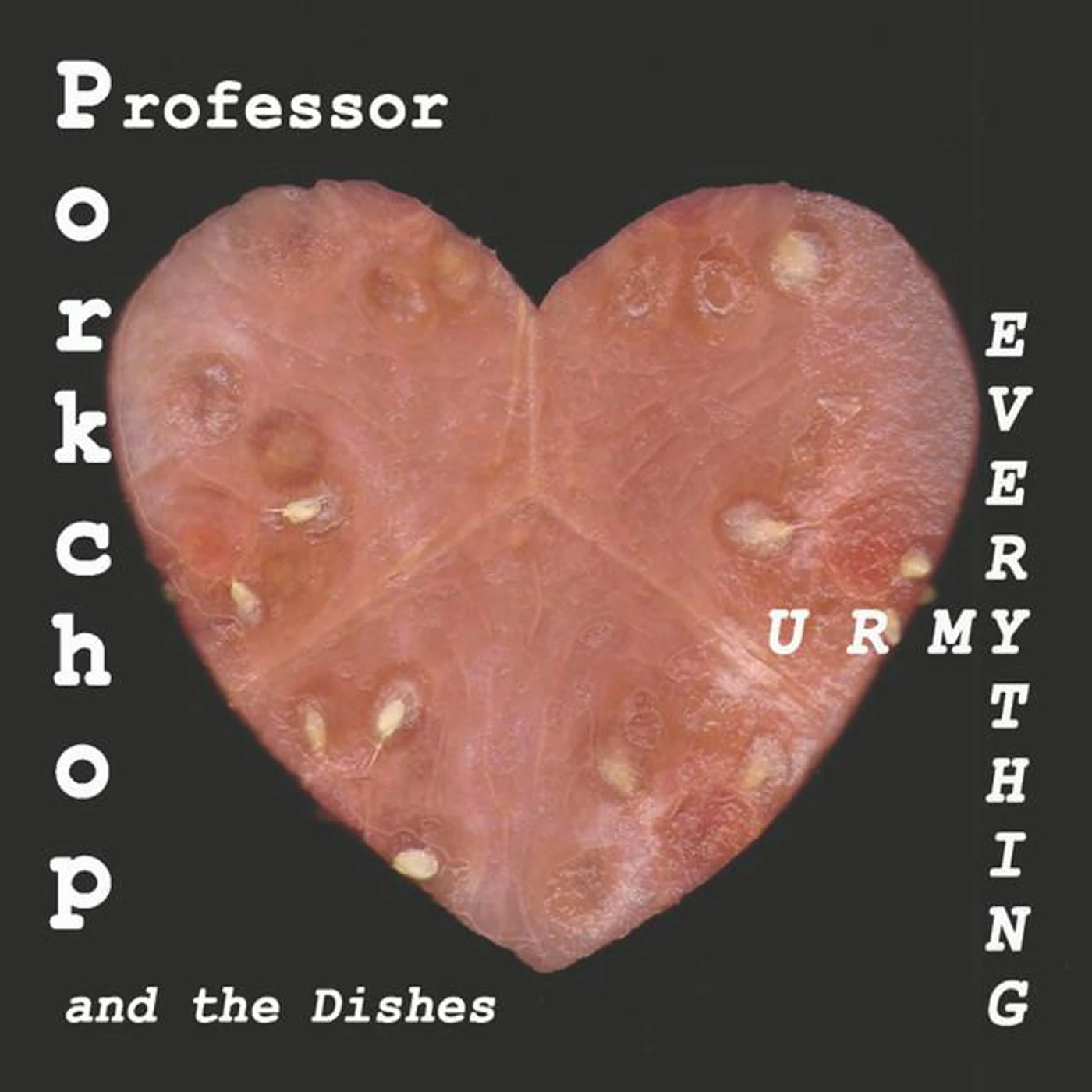 Professor Porkchop & the Dishes Brand Page