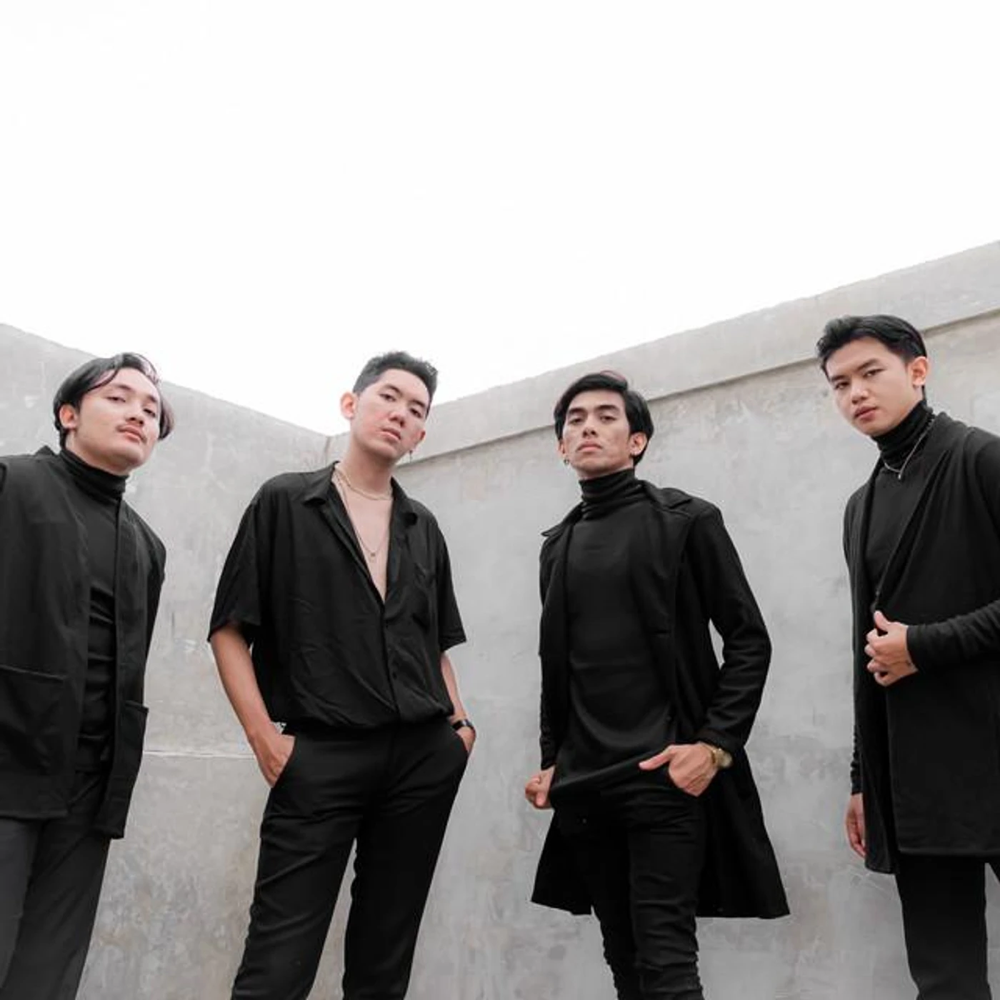 Pro Monkey Brand Page