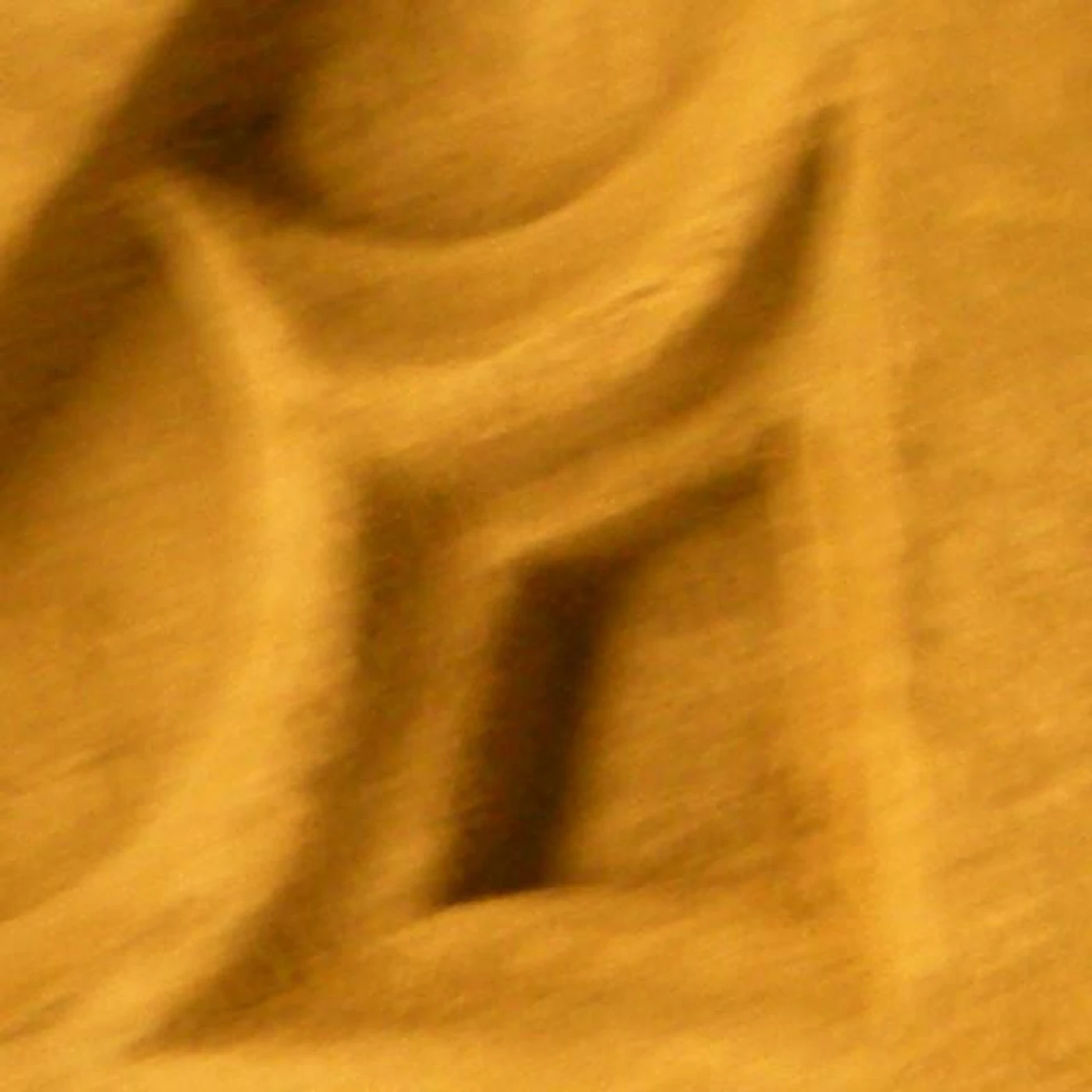 Quest Brand Page