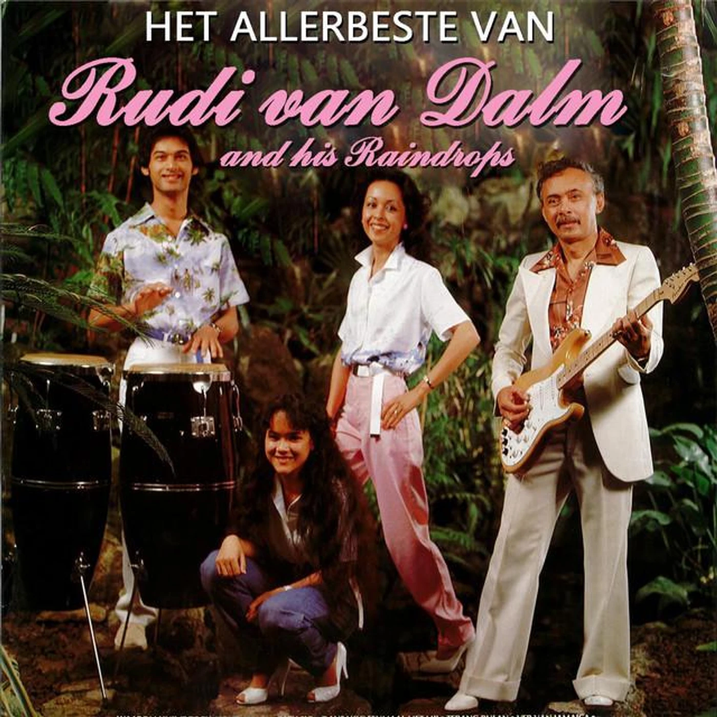 Rudi Van Dalm Brand Page