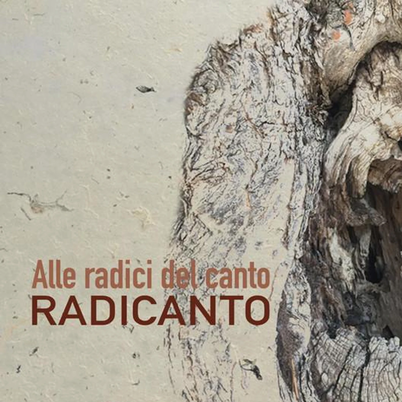 Radicanto Brand Page
