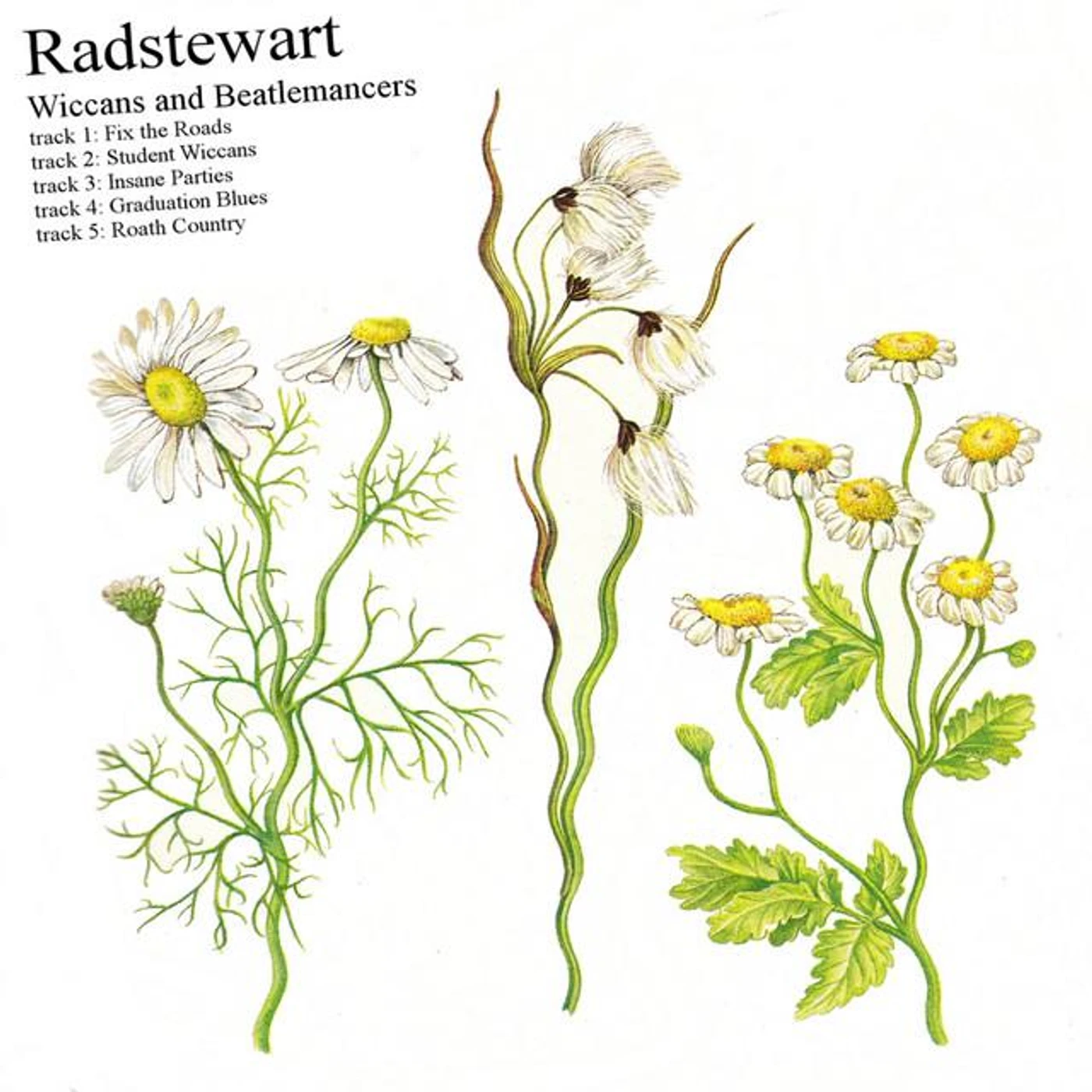 Radstewart Brand Page
