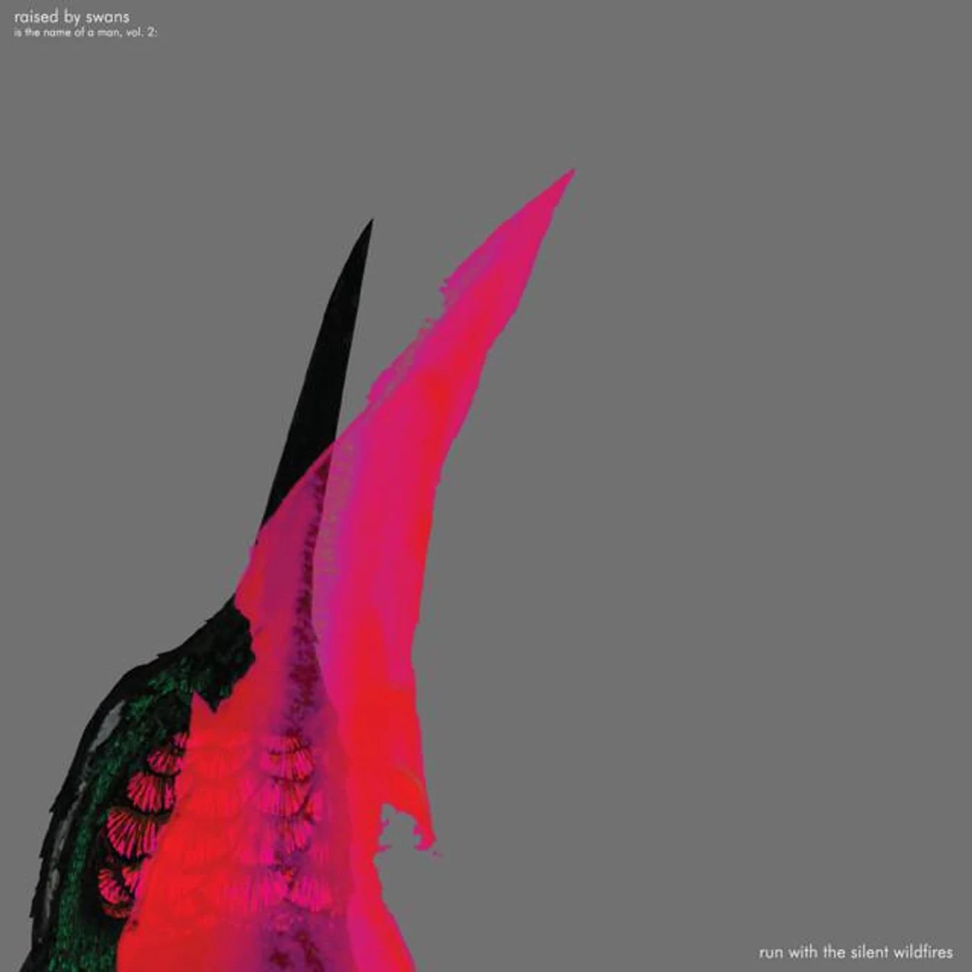 Raised By Swans Brand Page