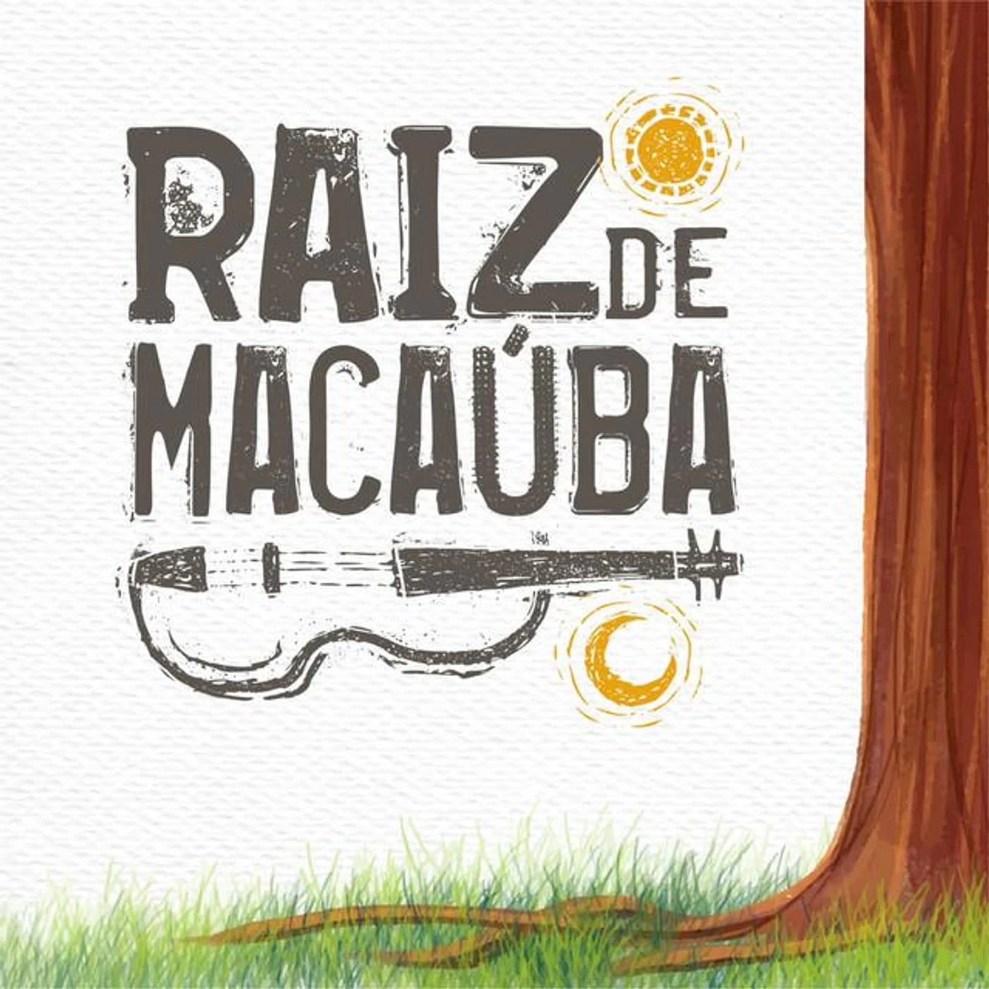 Raiz de Macauba Brand Page