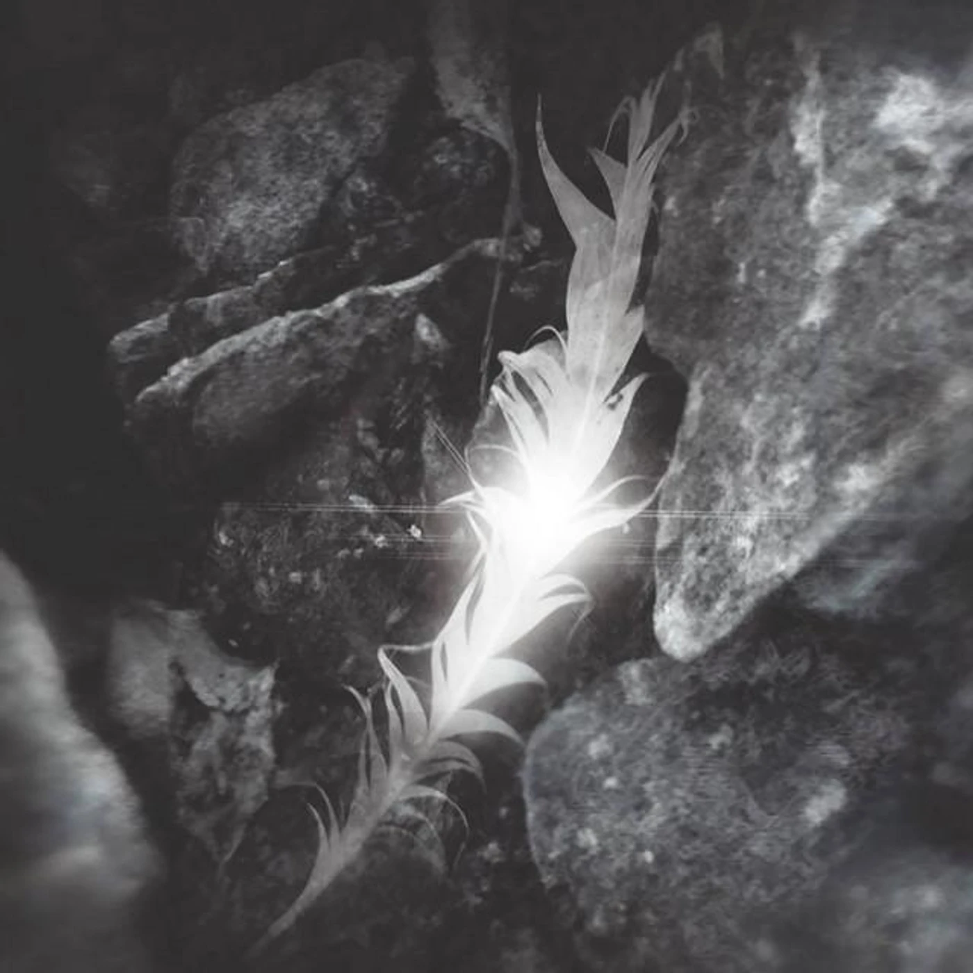 Rapture Brand Page