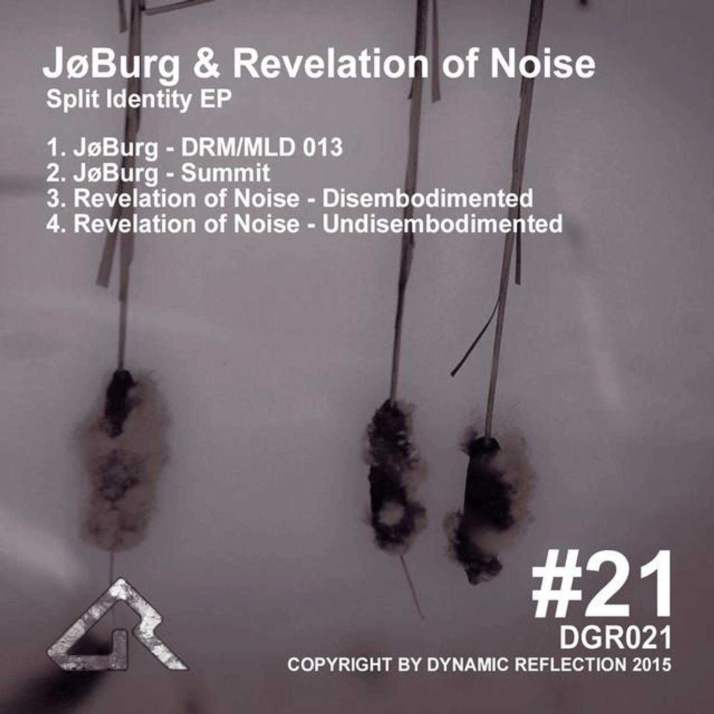 Revelation Of Noise