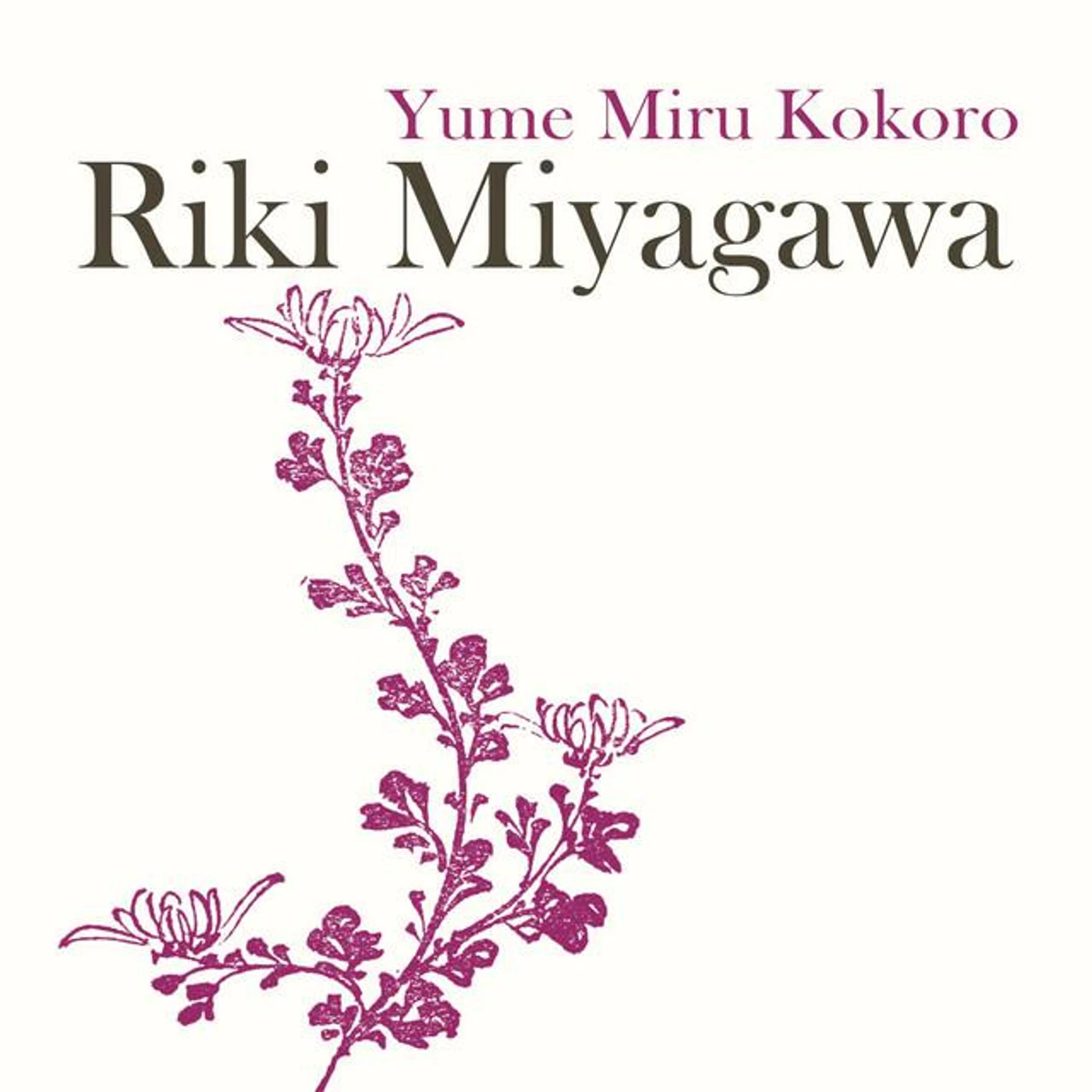 Riki Miyagawa