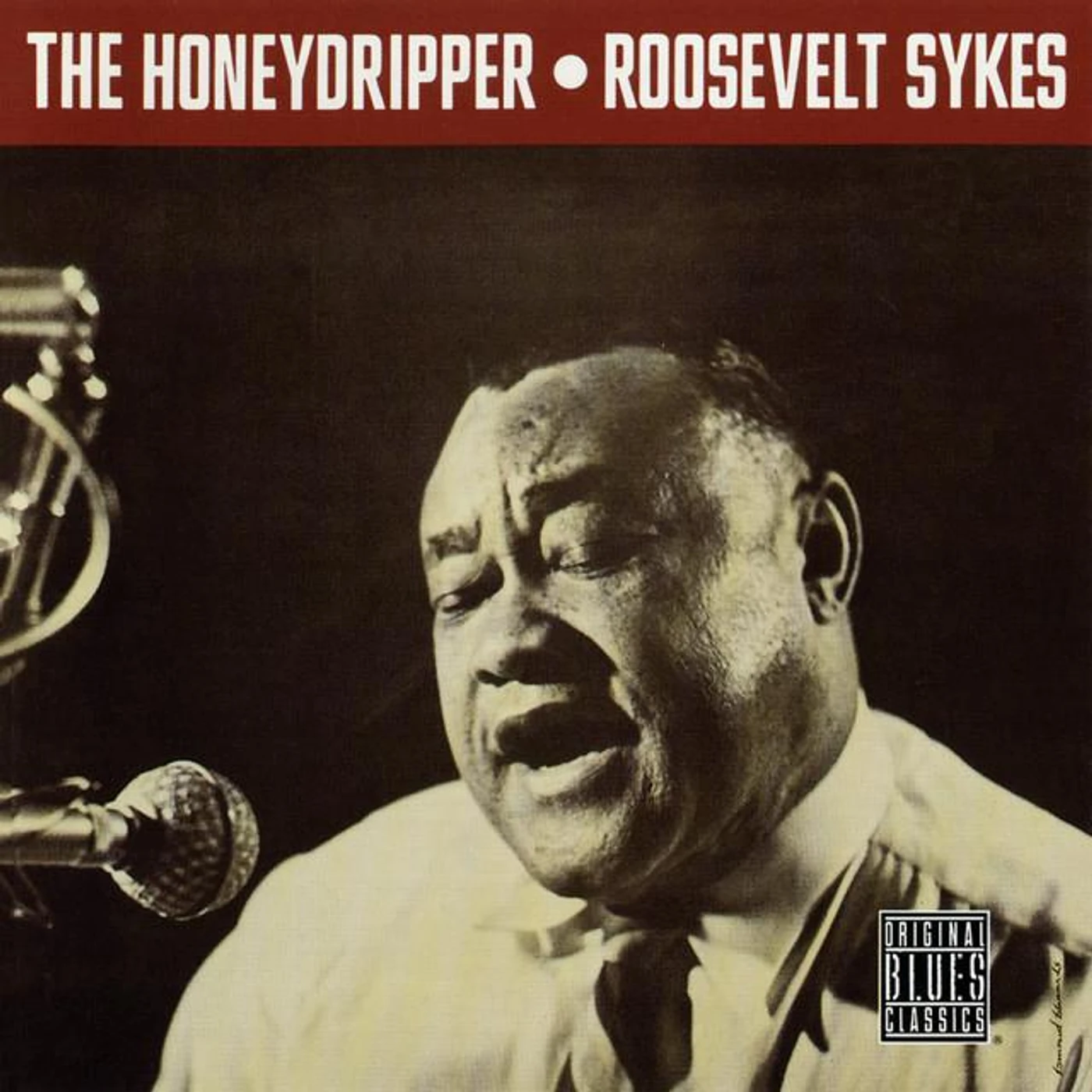 Roosevelt Sykes Brand Page