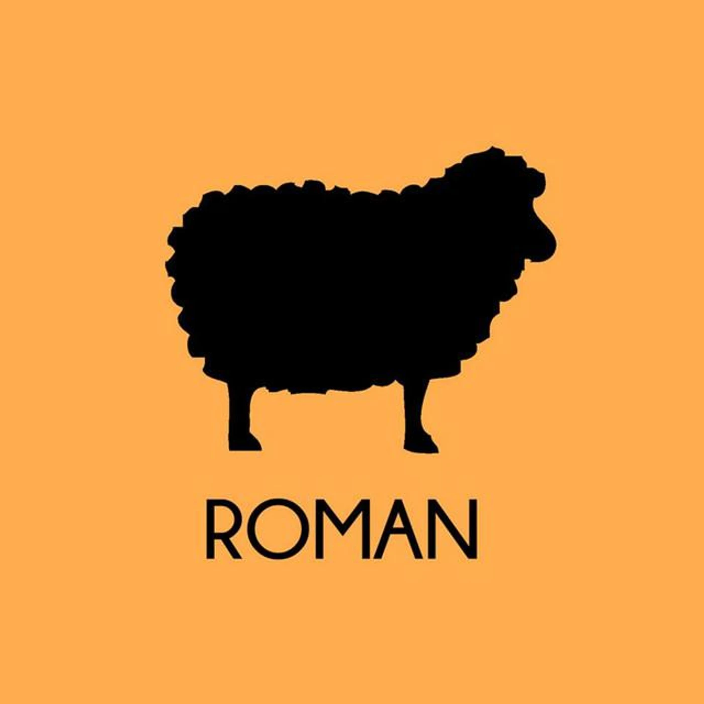 ROMÁN Brand Page