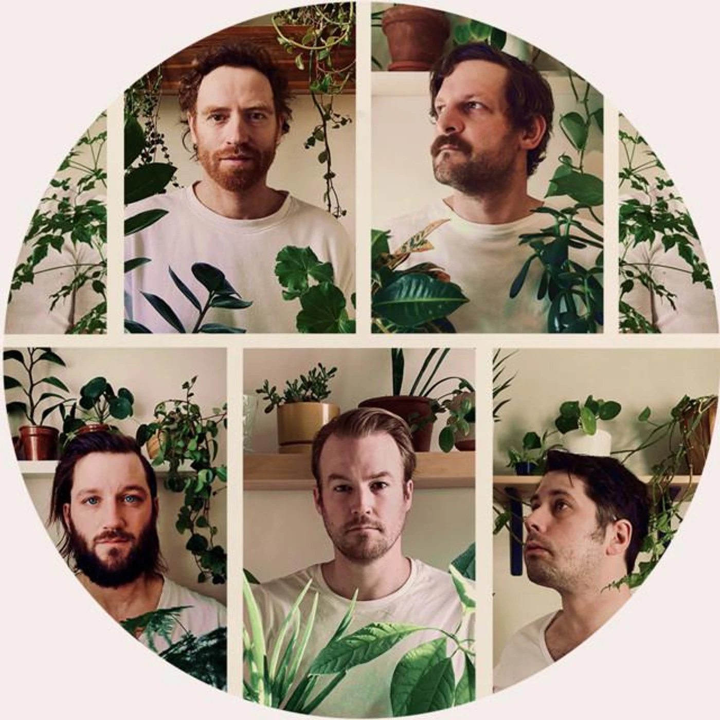 Royal Canoe Brand Page