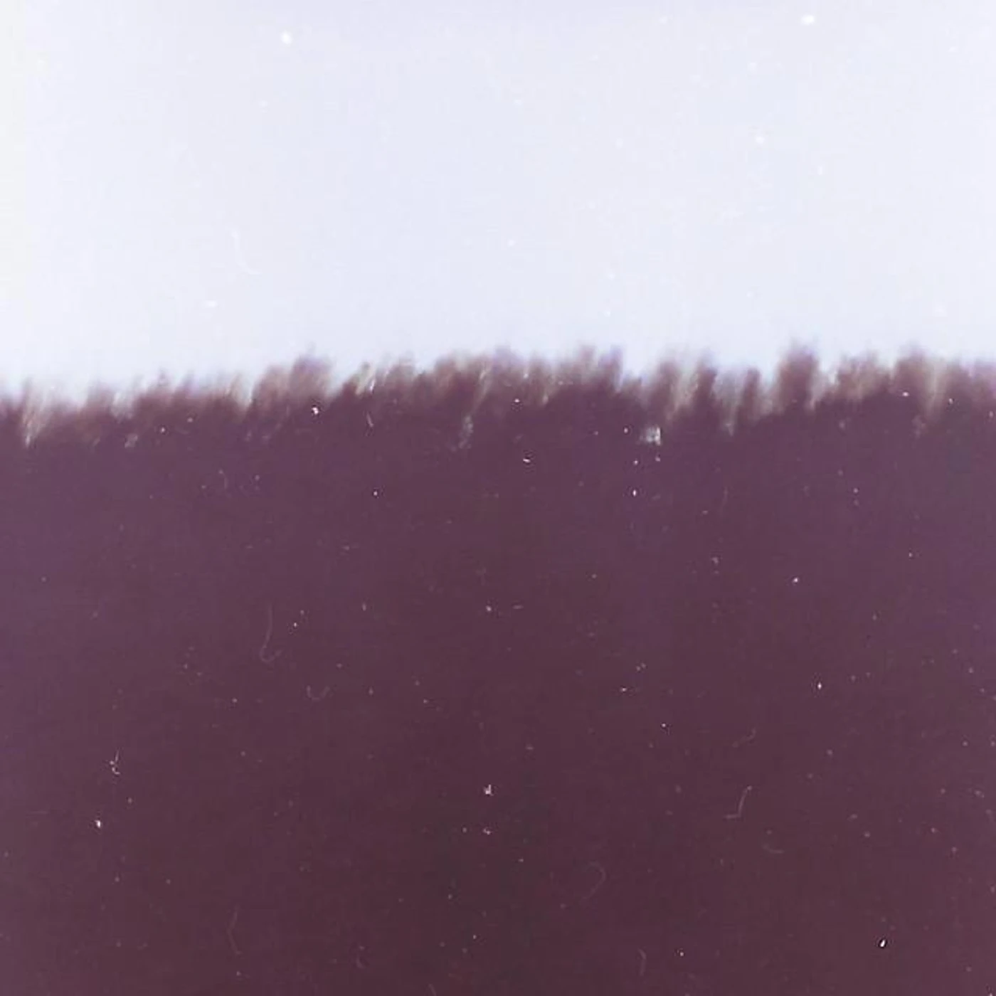 Sæbius