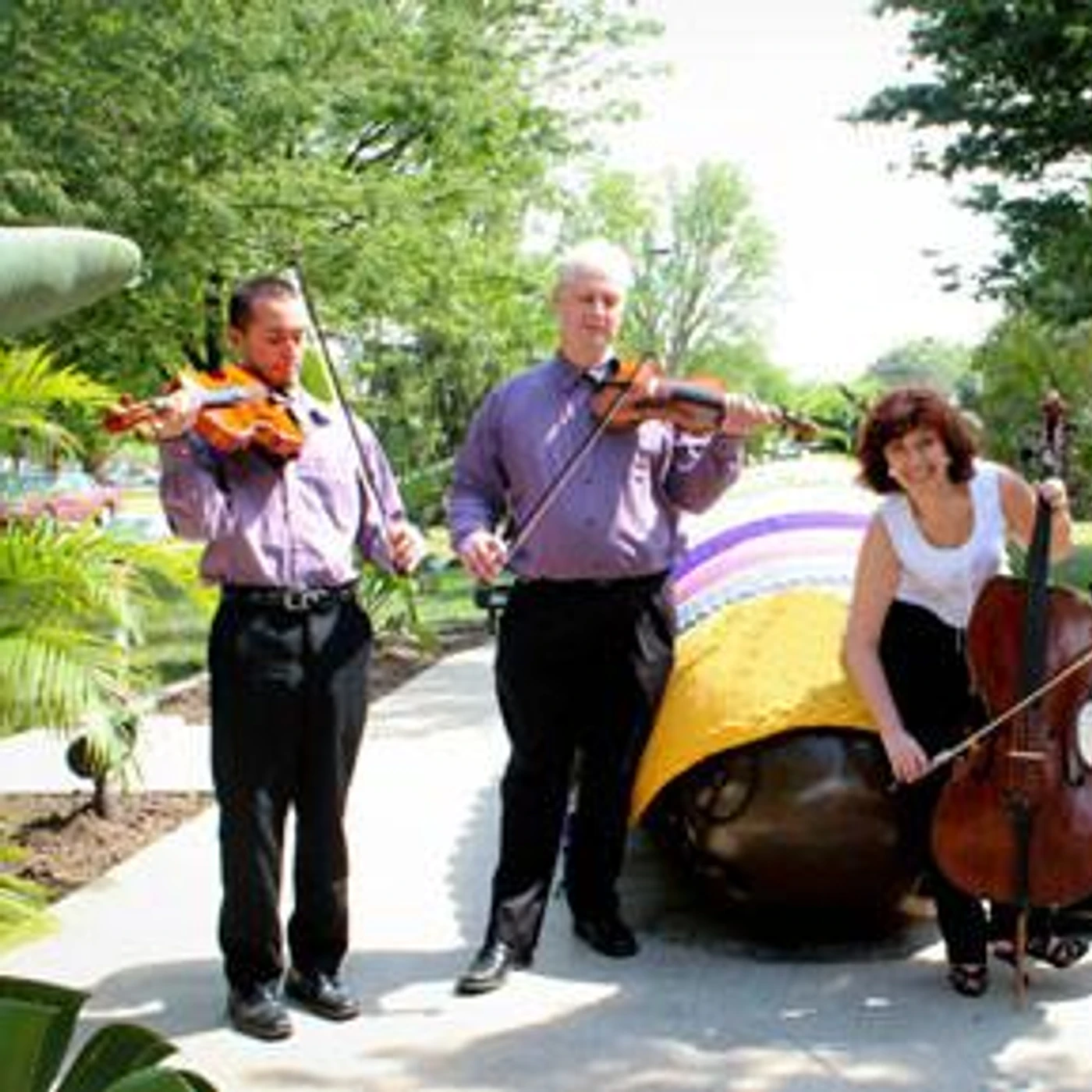 St. Petersburg String Quartet Brand Page