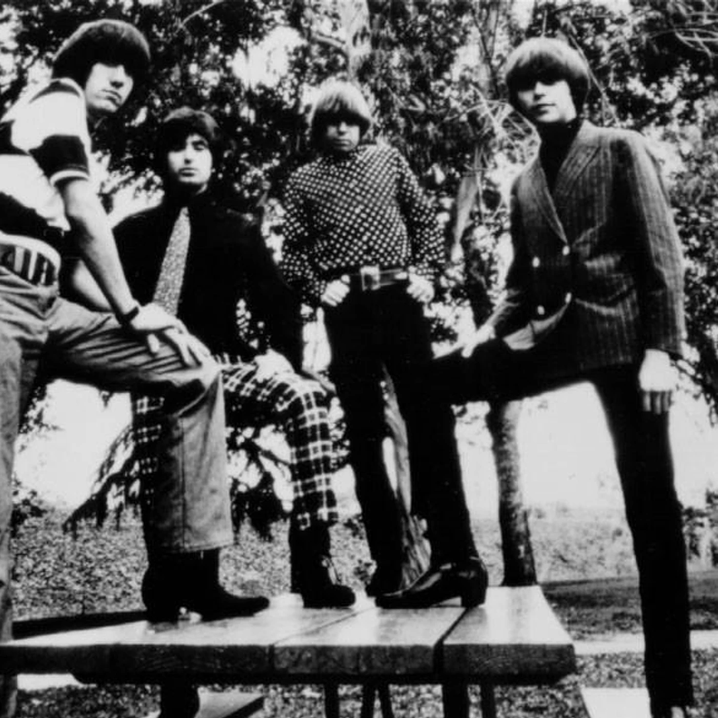 The Standells Brand Page