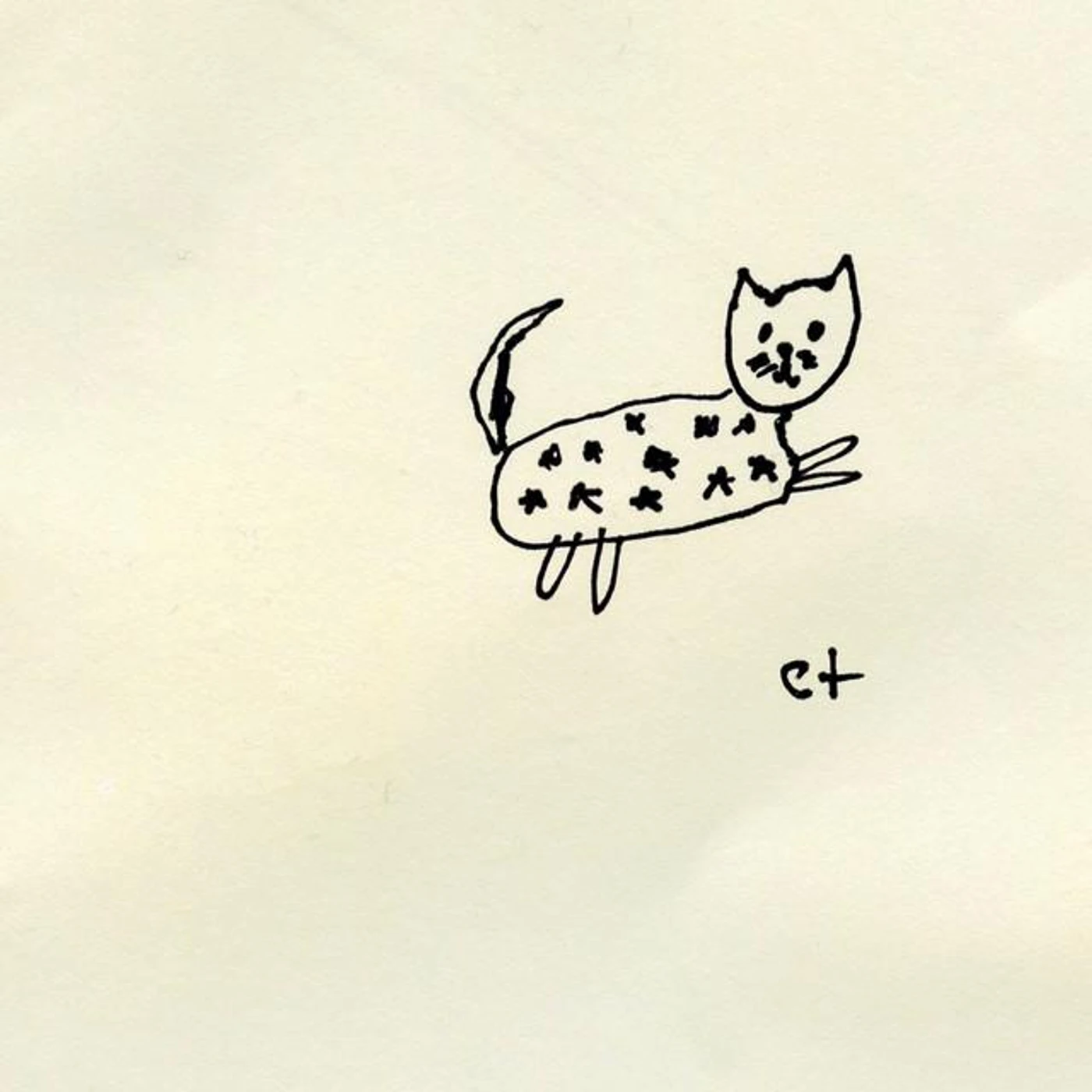 Starry Cat Brand Page