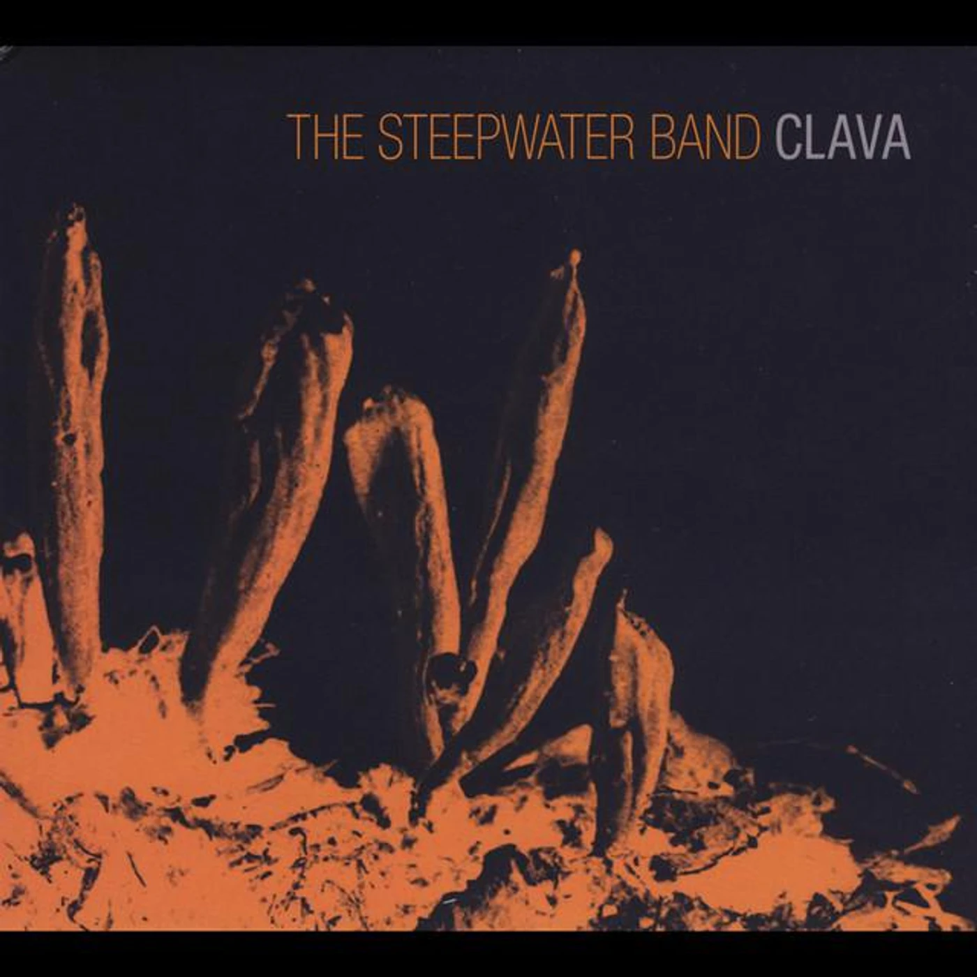 The Steepwater Band Brand Page