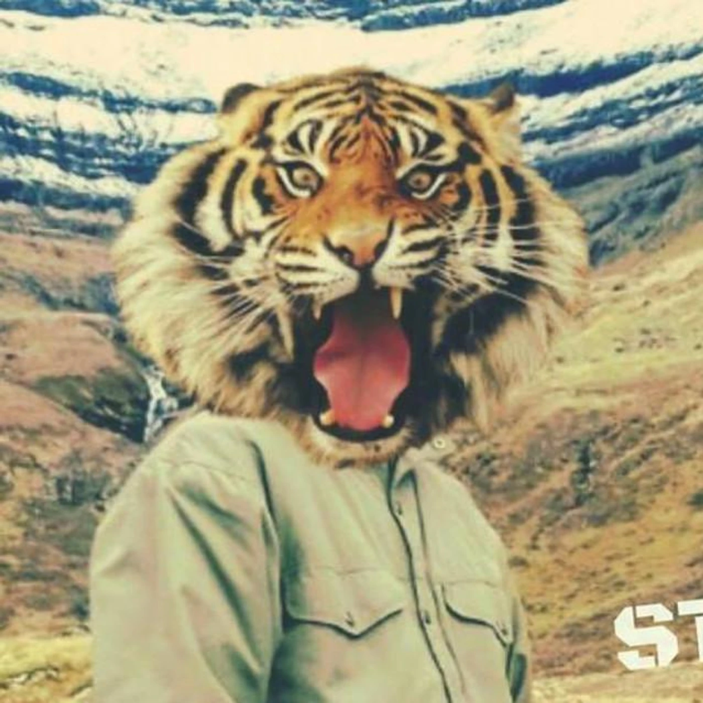 Steso