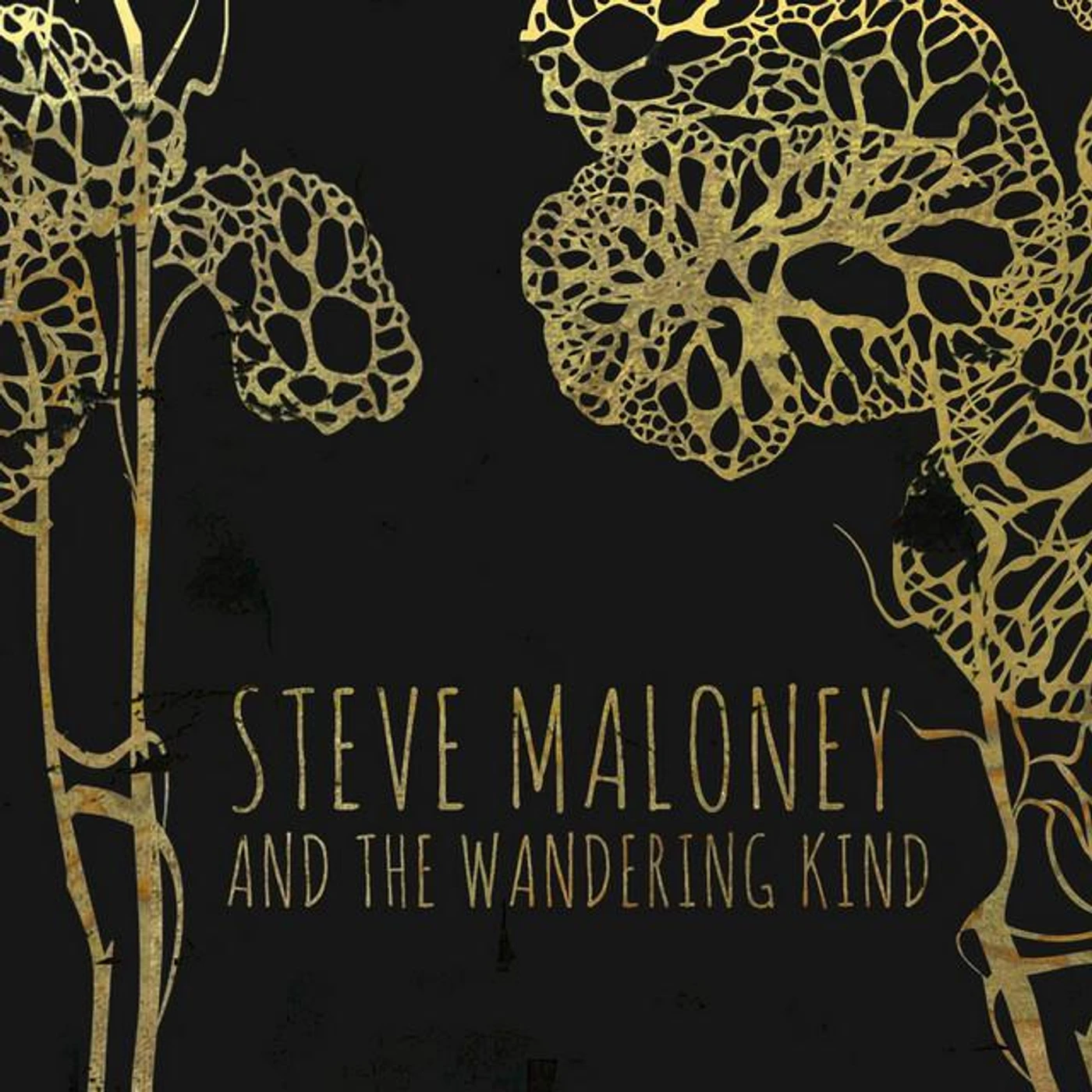 Steve Maloney and the Wandering Kind Brand Page