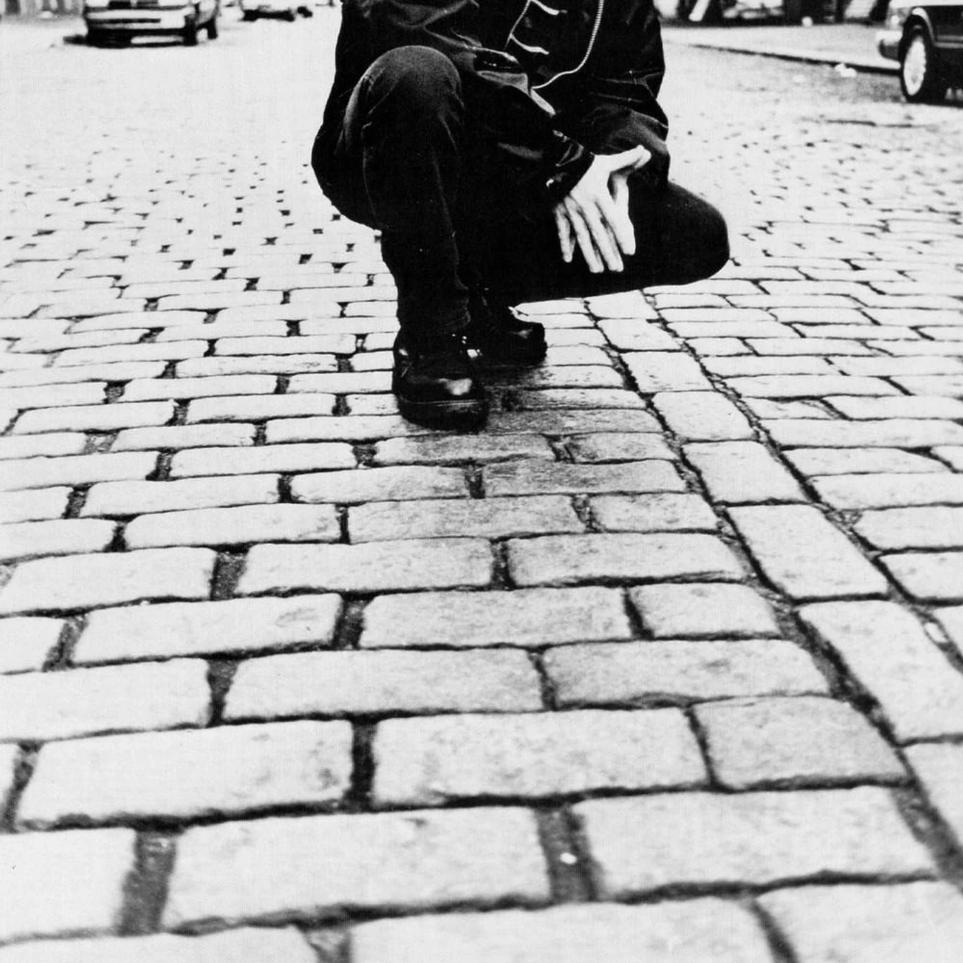 Steve Stoll Brand Page