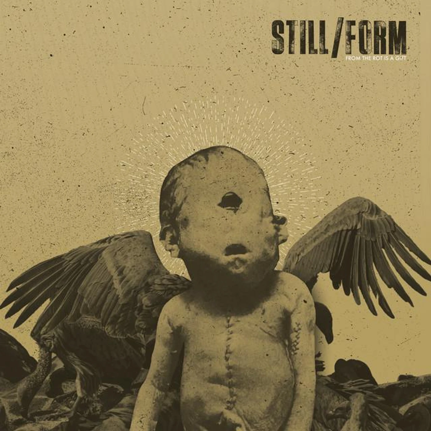 Still/form Brand Page