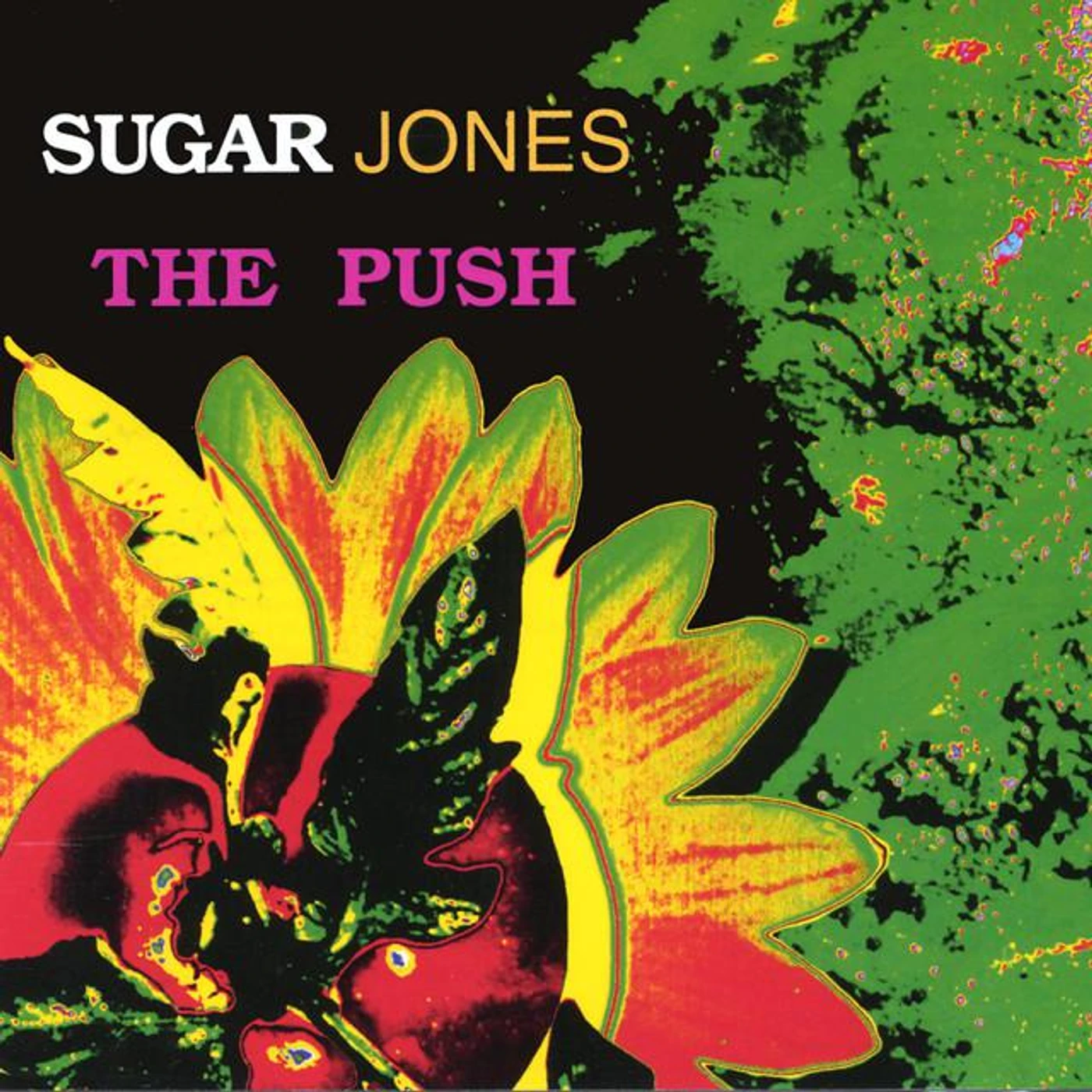 Sugar Jones Brand Page