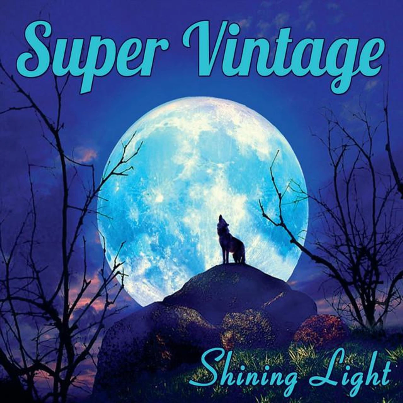 Super Vintage